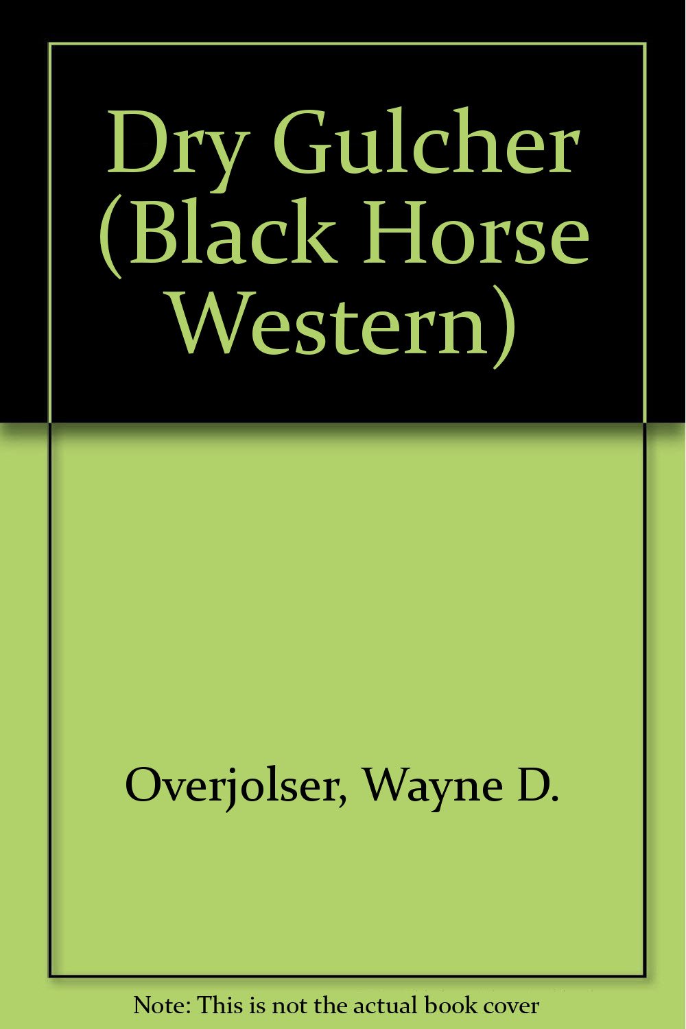 Dry Gulcher (Black Horse Western) Books