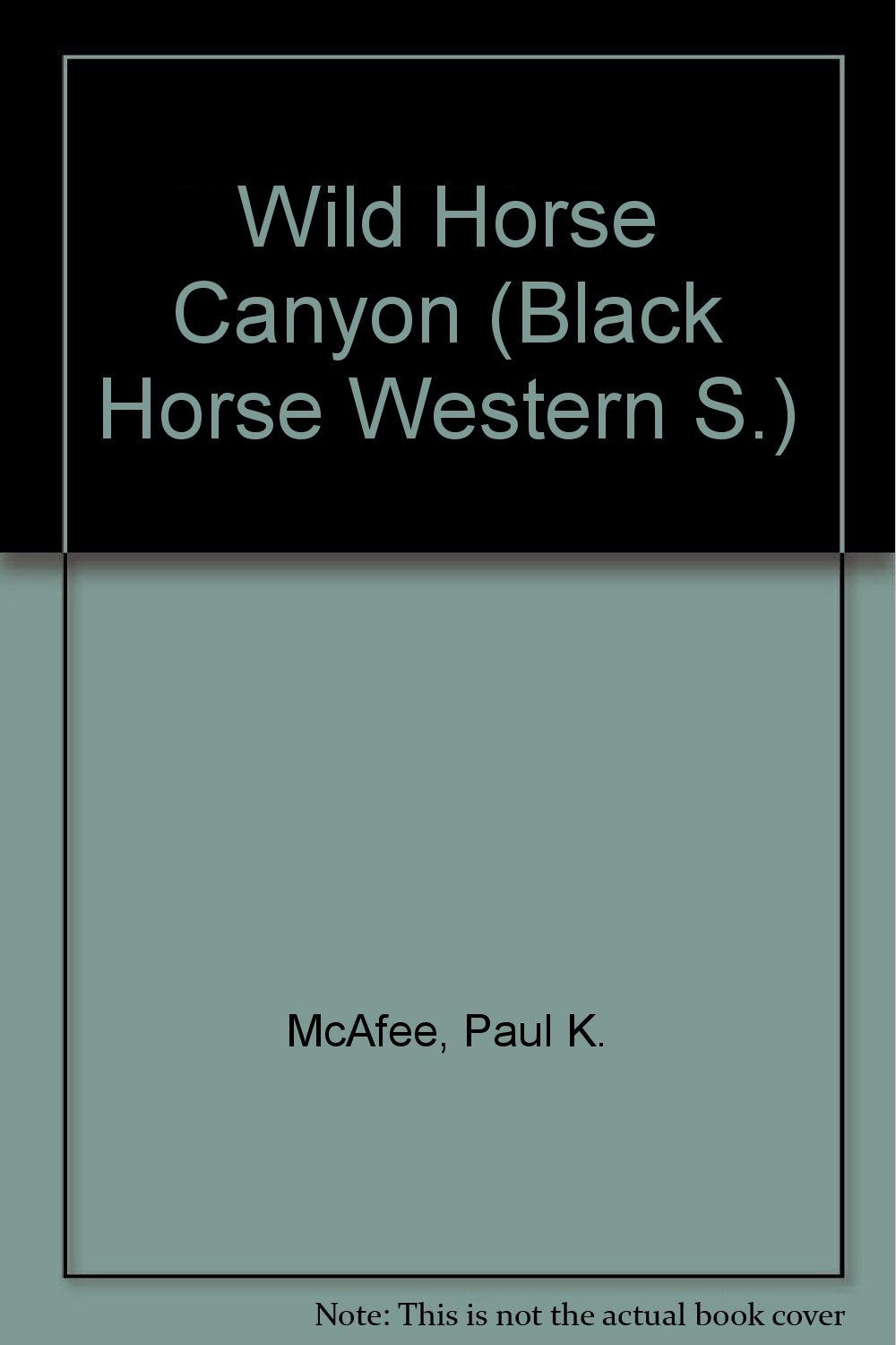 Wild Horse Canyon (Black Horse Western S.) Books