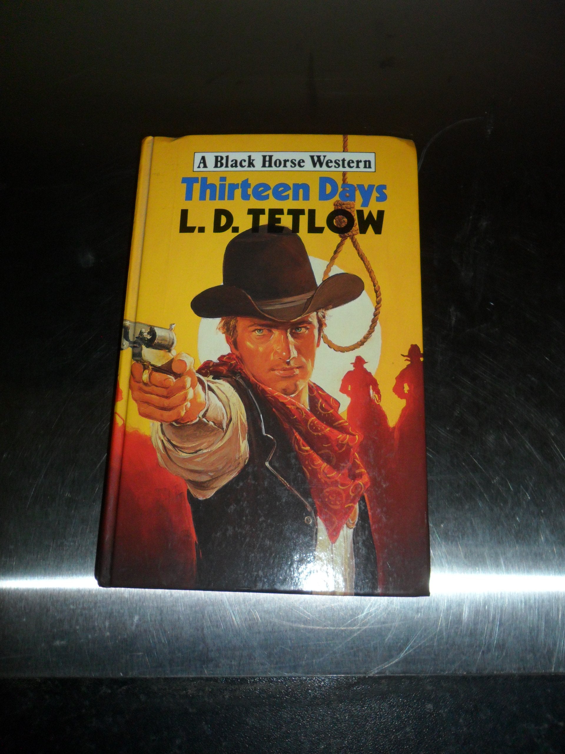 Thirteen Days (Black Horse Western) Action & Adventure