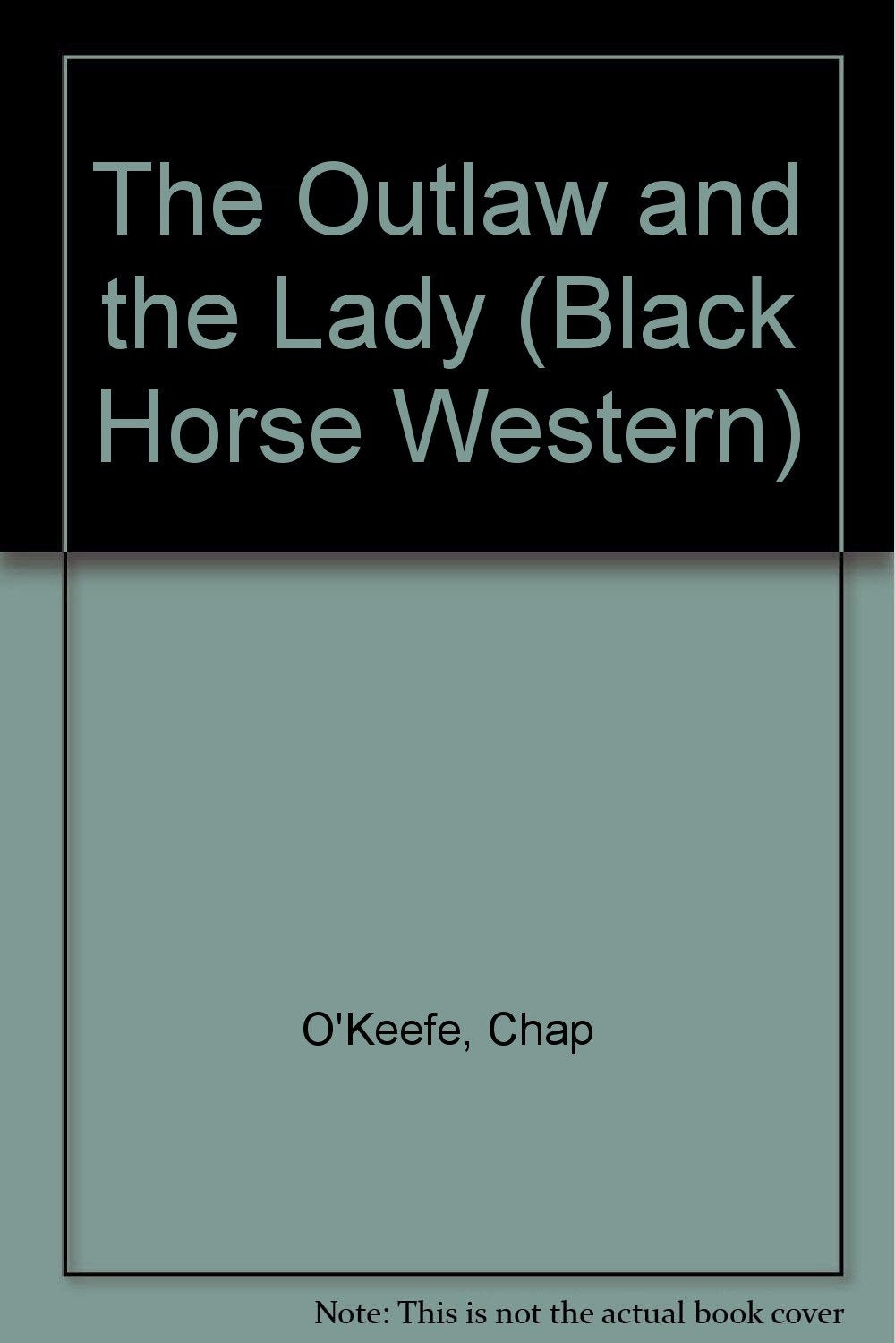 The Outlaw and the Lady (Black Horse Western) Action & Adventure