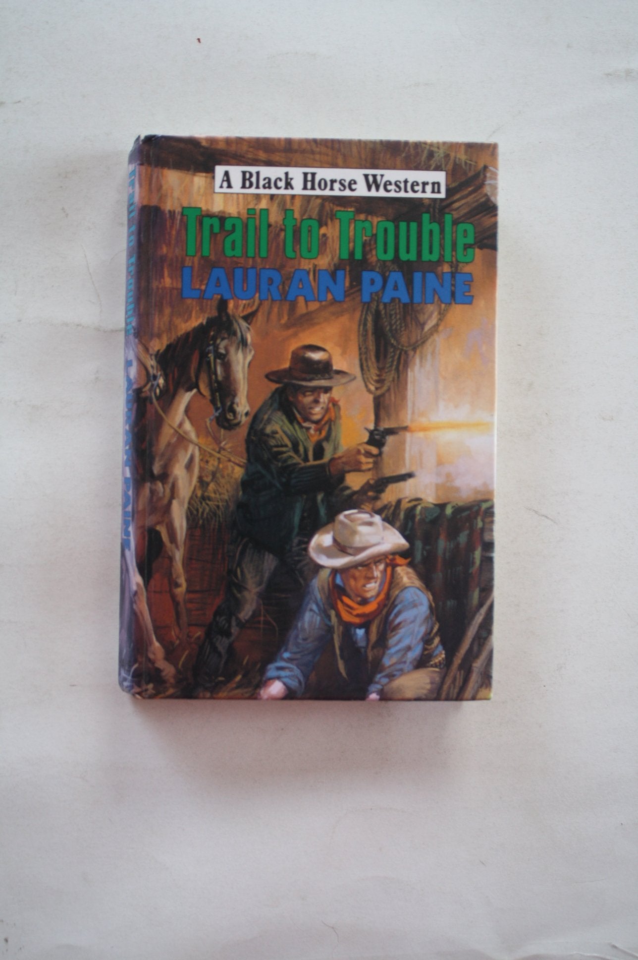 Trail to Trouble (Black Horse Western) Action & Adventure