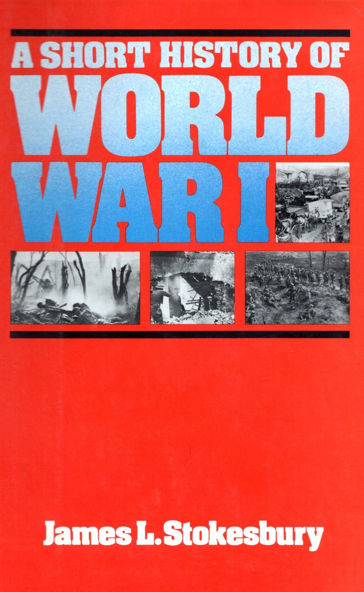 Short History of World War I Politics & History