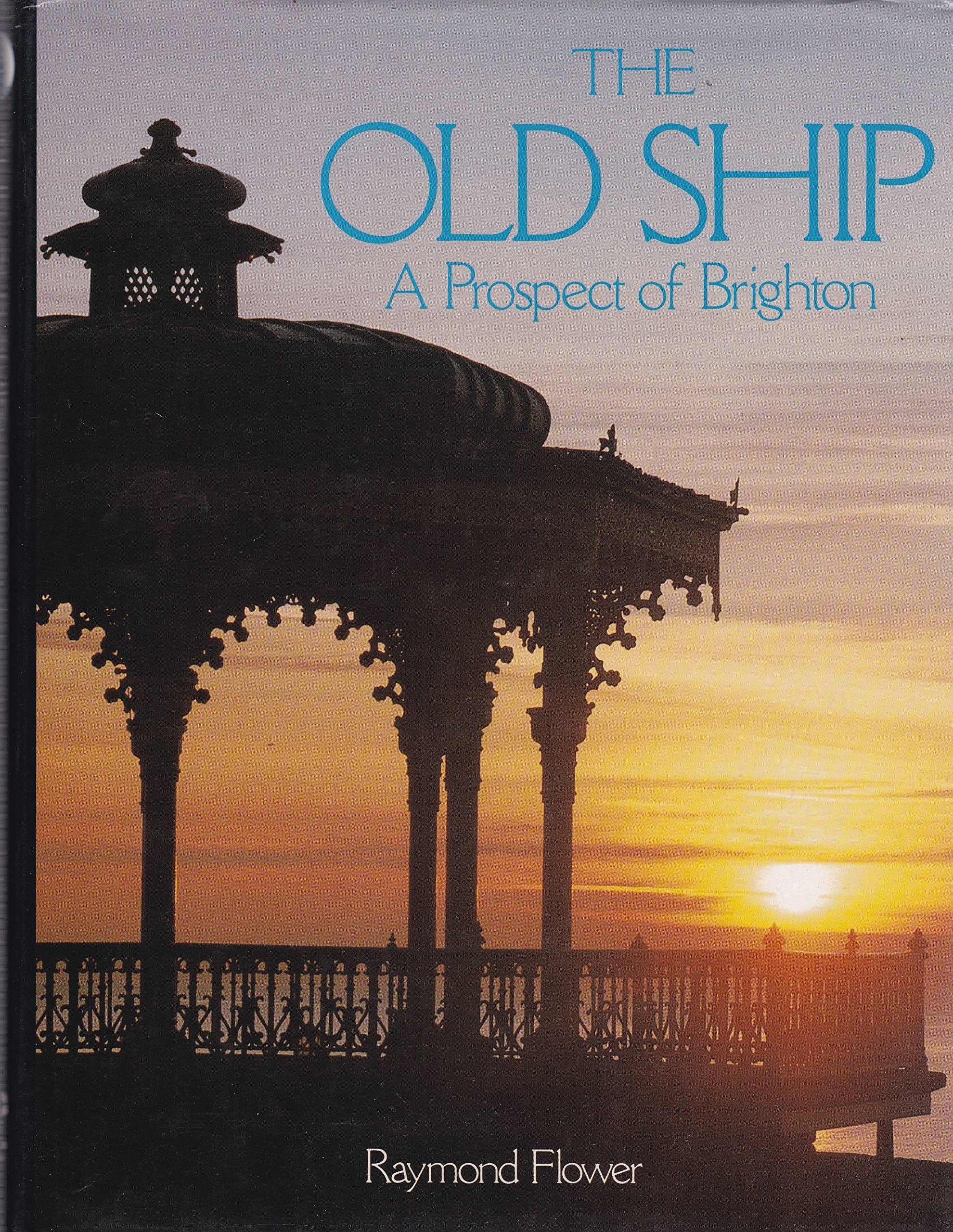 The Old Ship: A Prospect of Brighton Politics & History