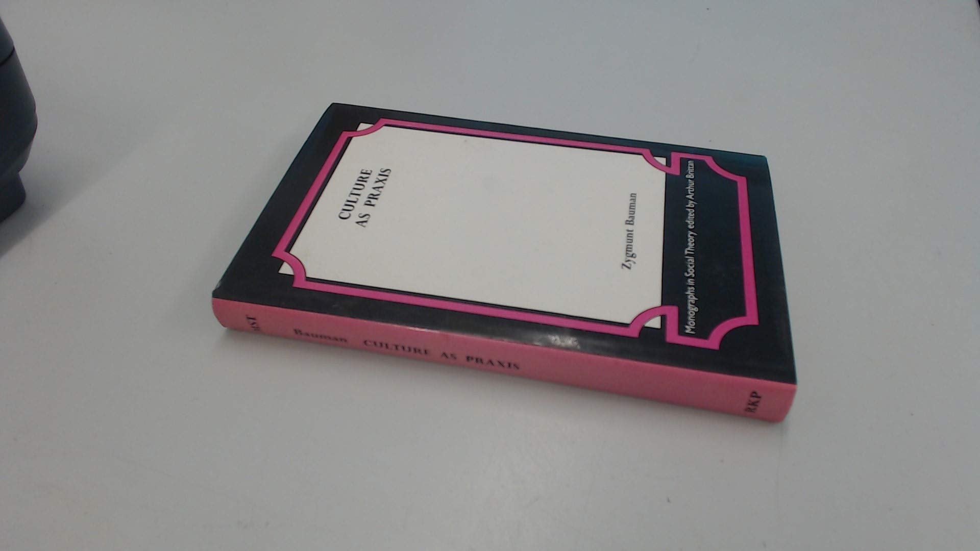 Culture as Praxis (Monographs in Social Theory) Books