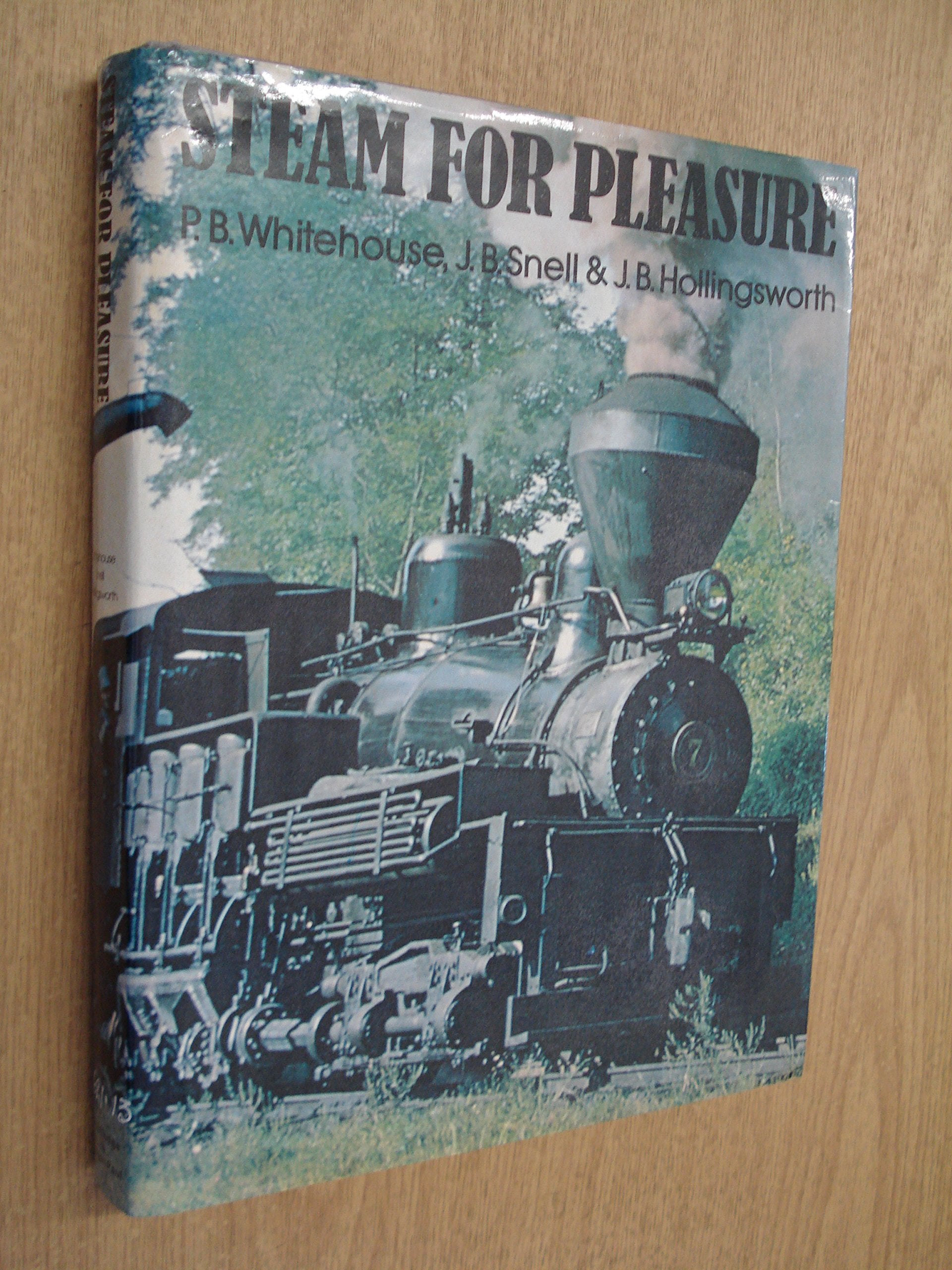 Steam for Pleasure: A World Survey book