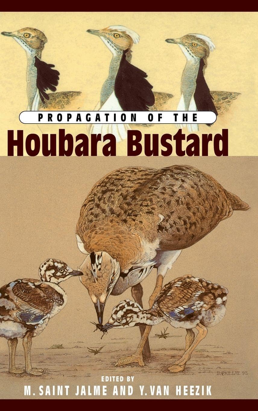 Propagation Of The Houbara Busta Law