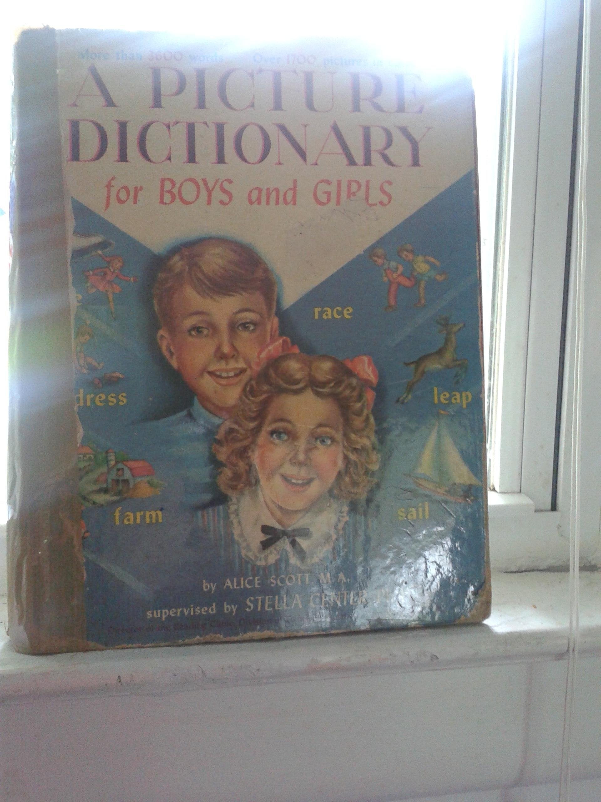 Giant Picture Dictionary for Boys and Girls Books
