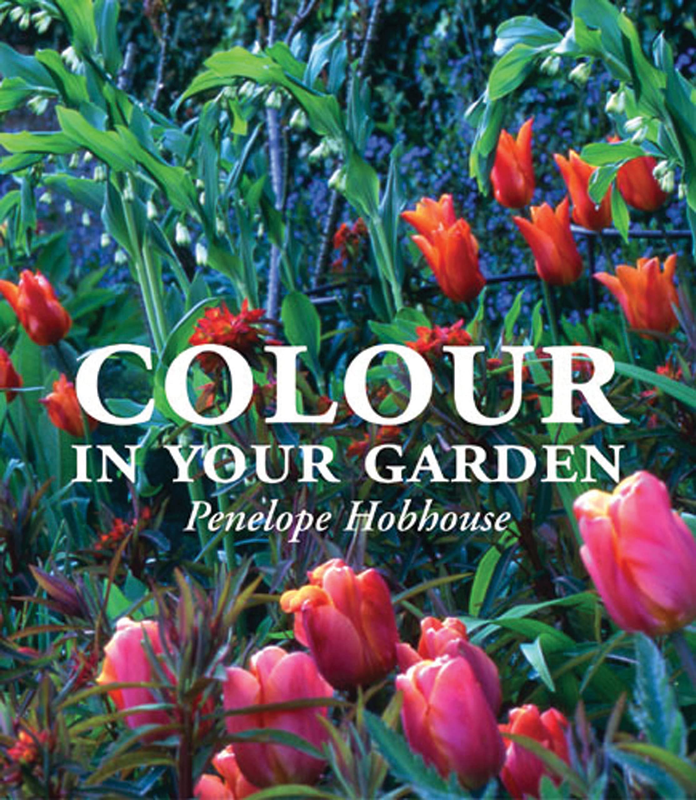 Color in Your Garden Garden & Plants