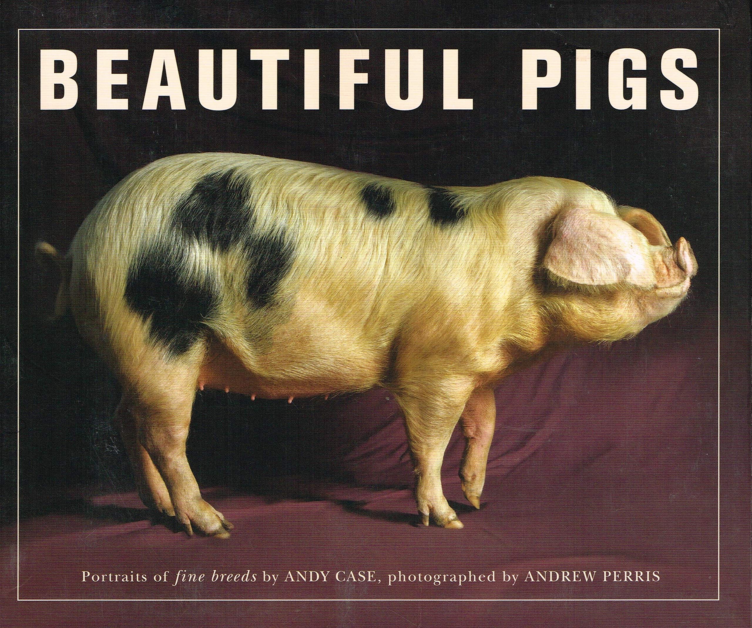 Beautiful Pigs: Portraits of fine breeds Nature & Animals