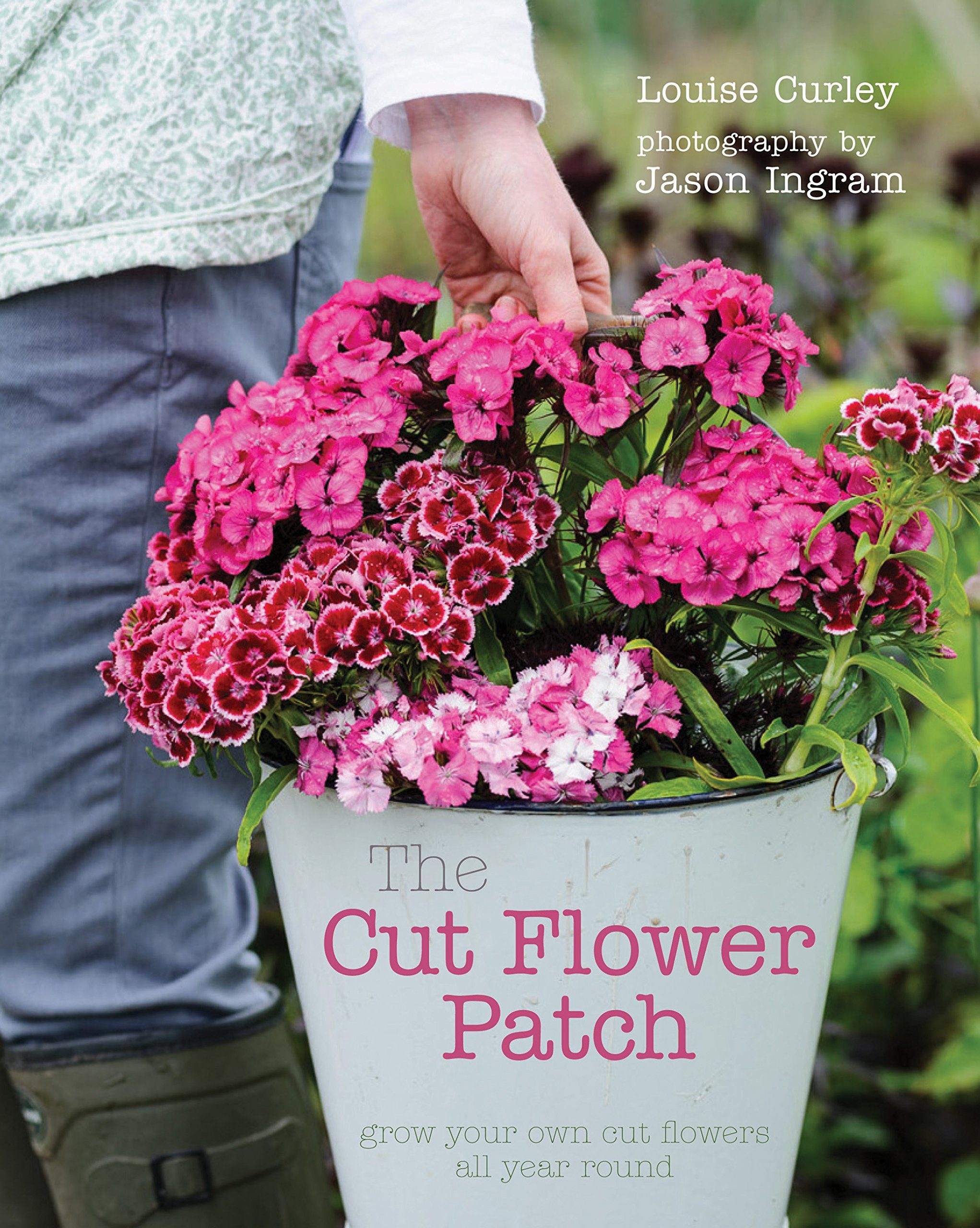Cut Flower Patch: Grow your own cut flowers all year round Hobbies & Crafts