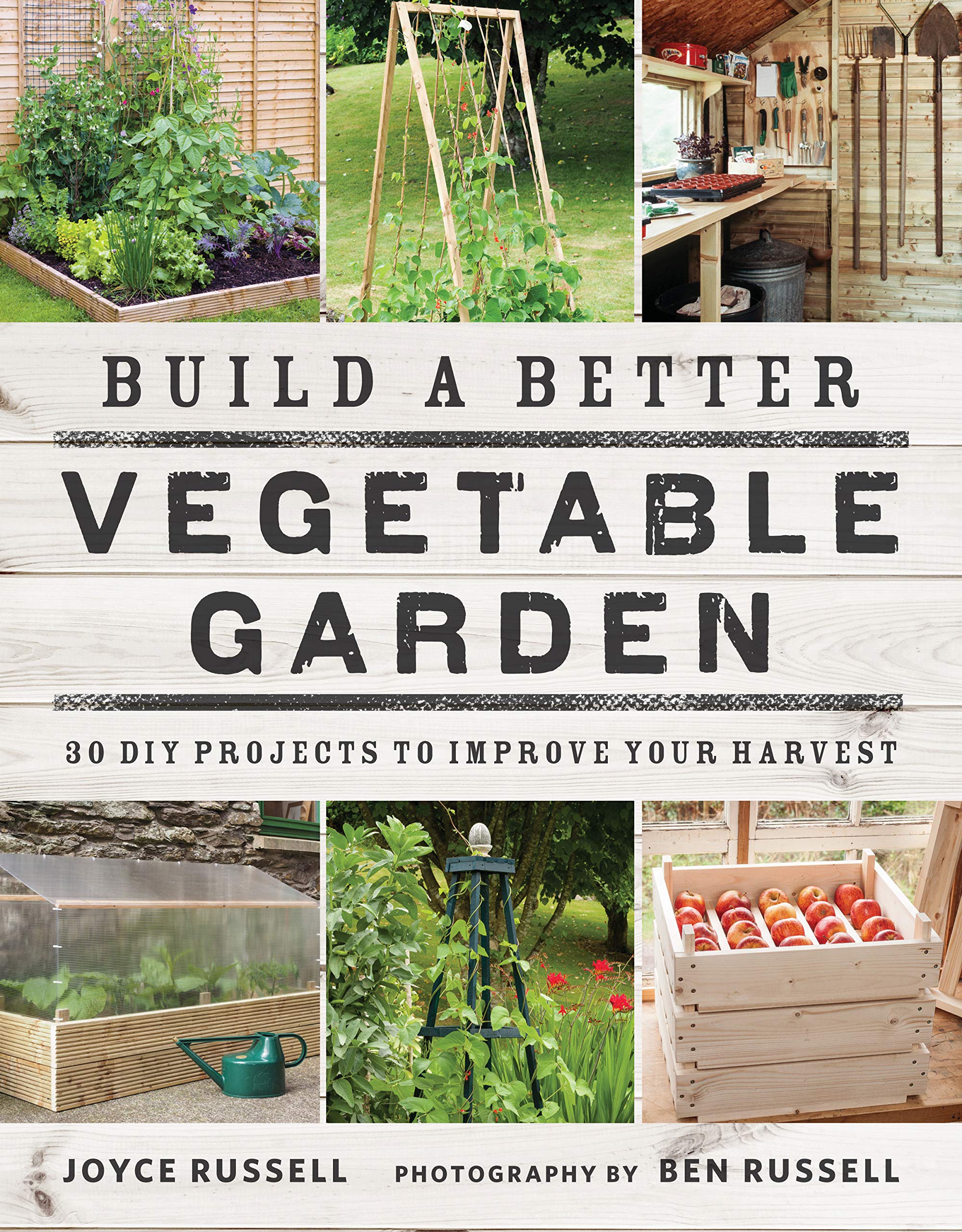 Build a Better Vegetable Garden: 30 DIY Projects to Improve Your Harvest book