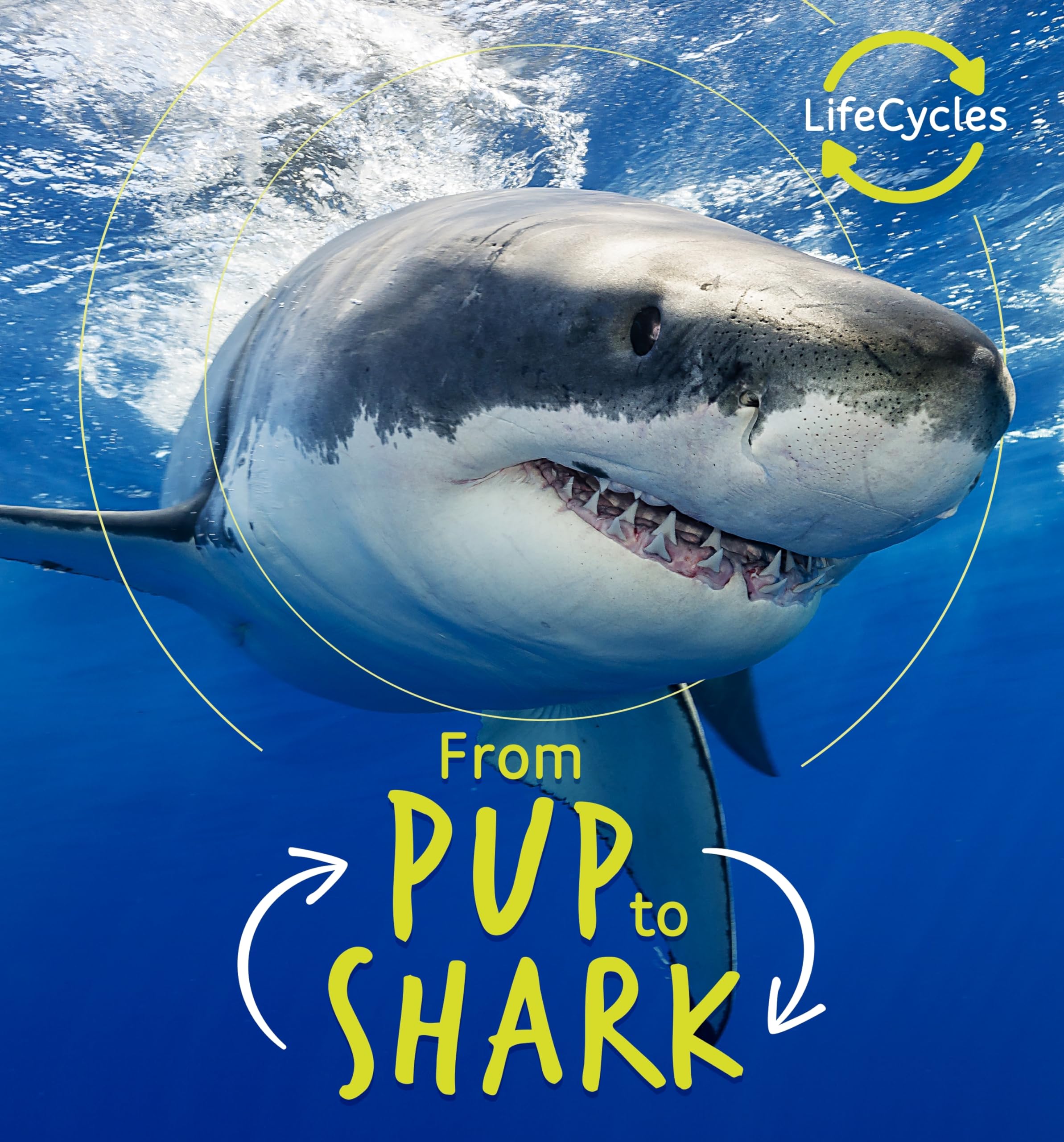 From Pup to Shark (Life Cycles) Parents & Children