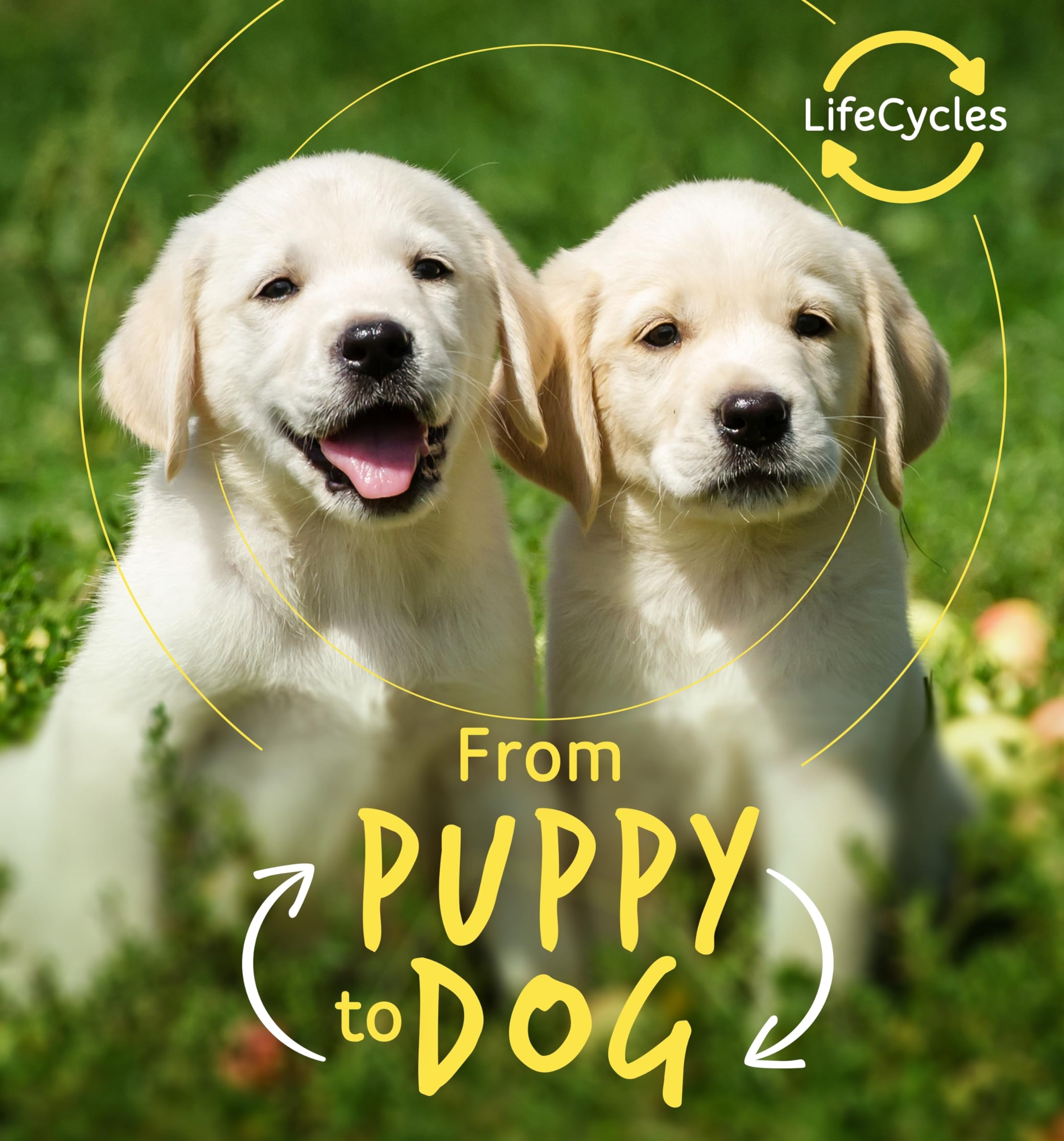 From Puppy to Dog (Life Cycles) Parents & Children