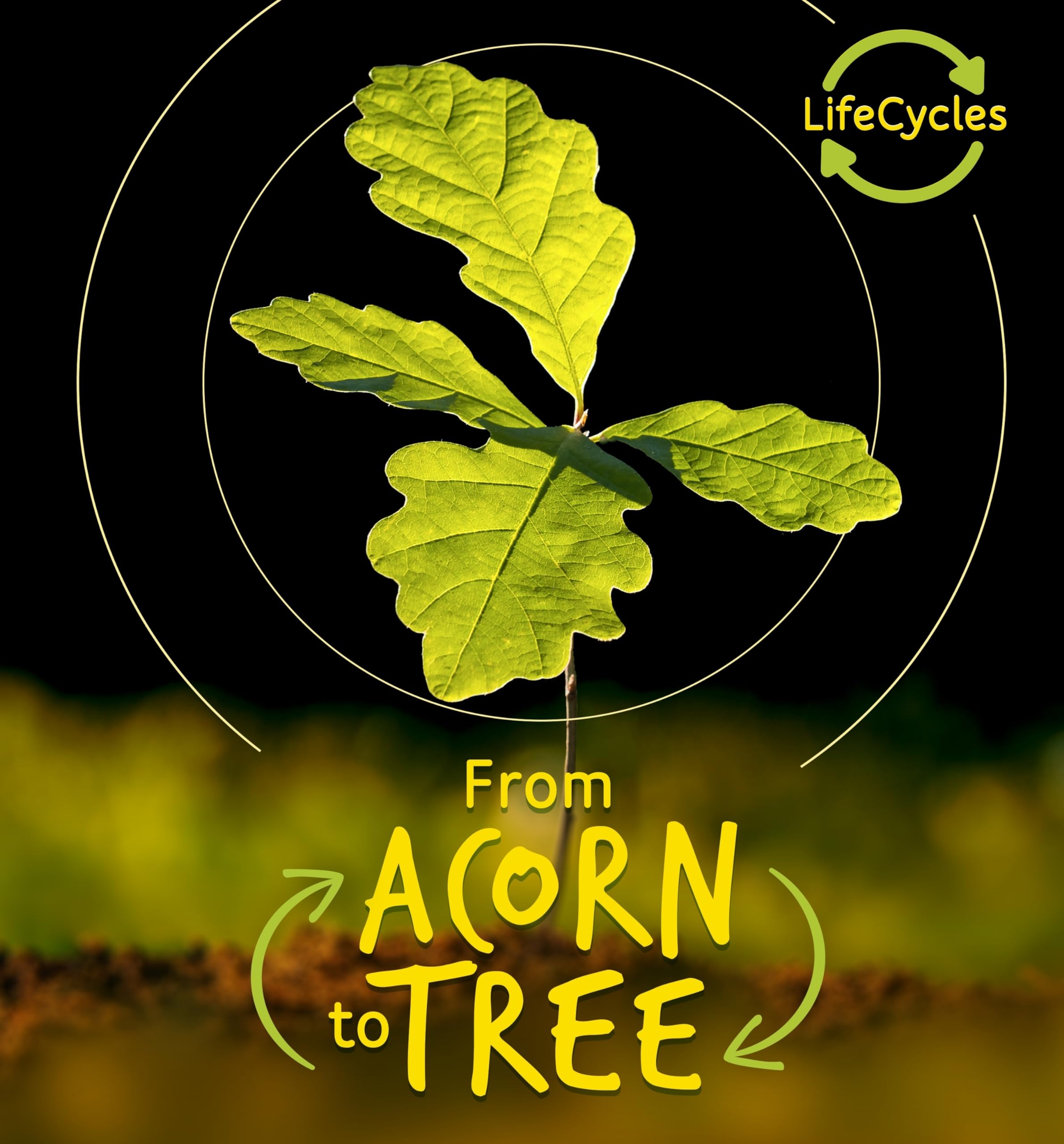 From Acorn to Tree (Life Cycles) Parents & Children