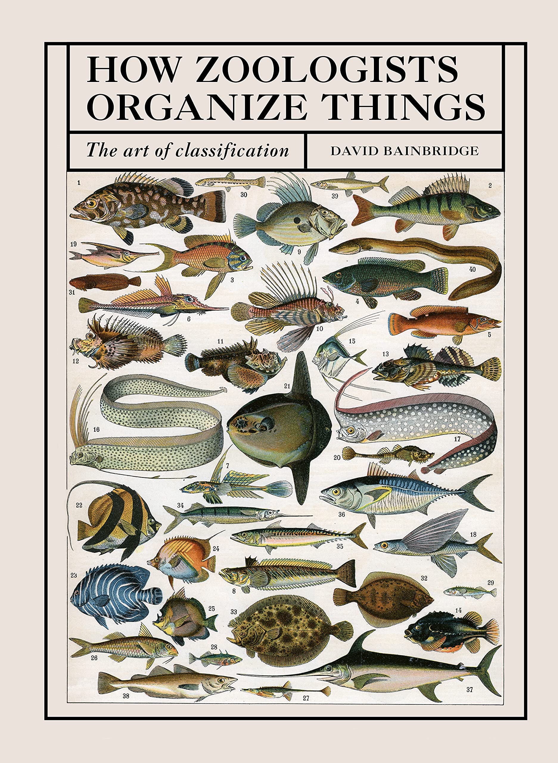 How Zoologists Organize Things: The Art of Classification Geology & Geography