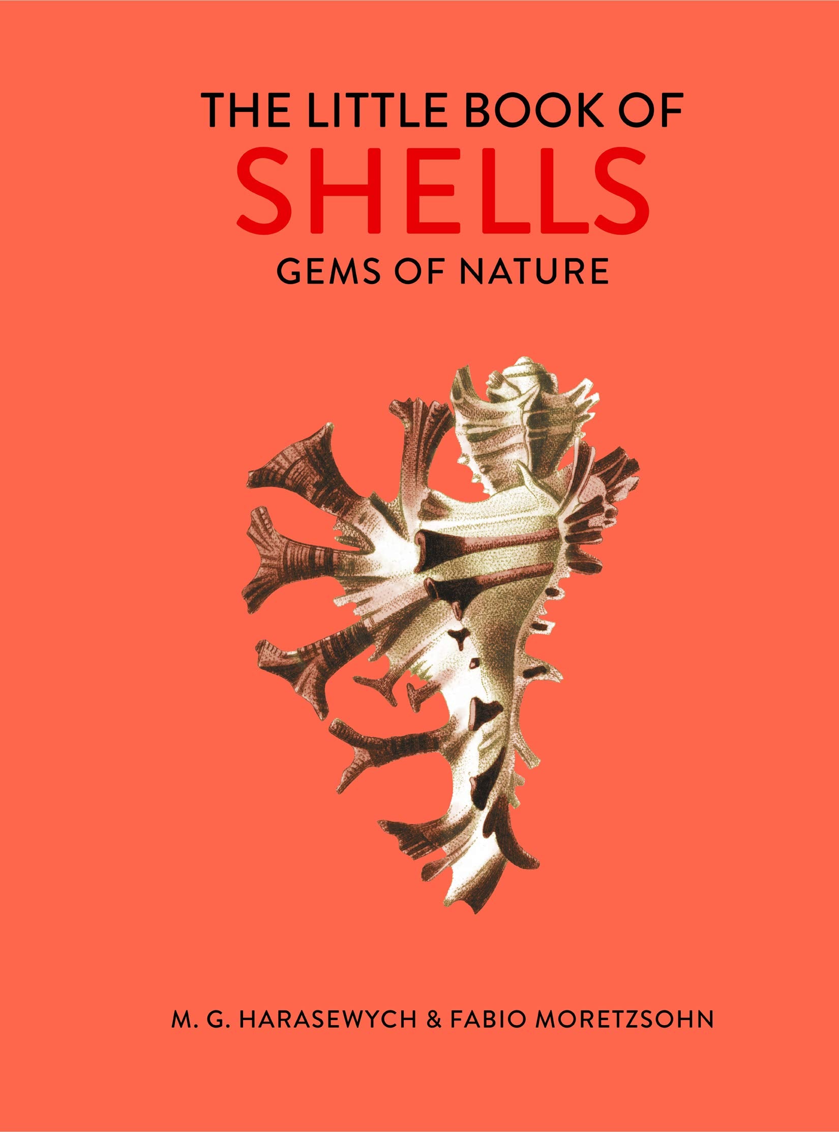 The Little Book of Shells: Gems of Nature Mathematics