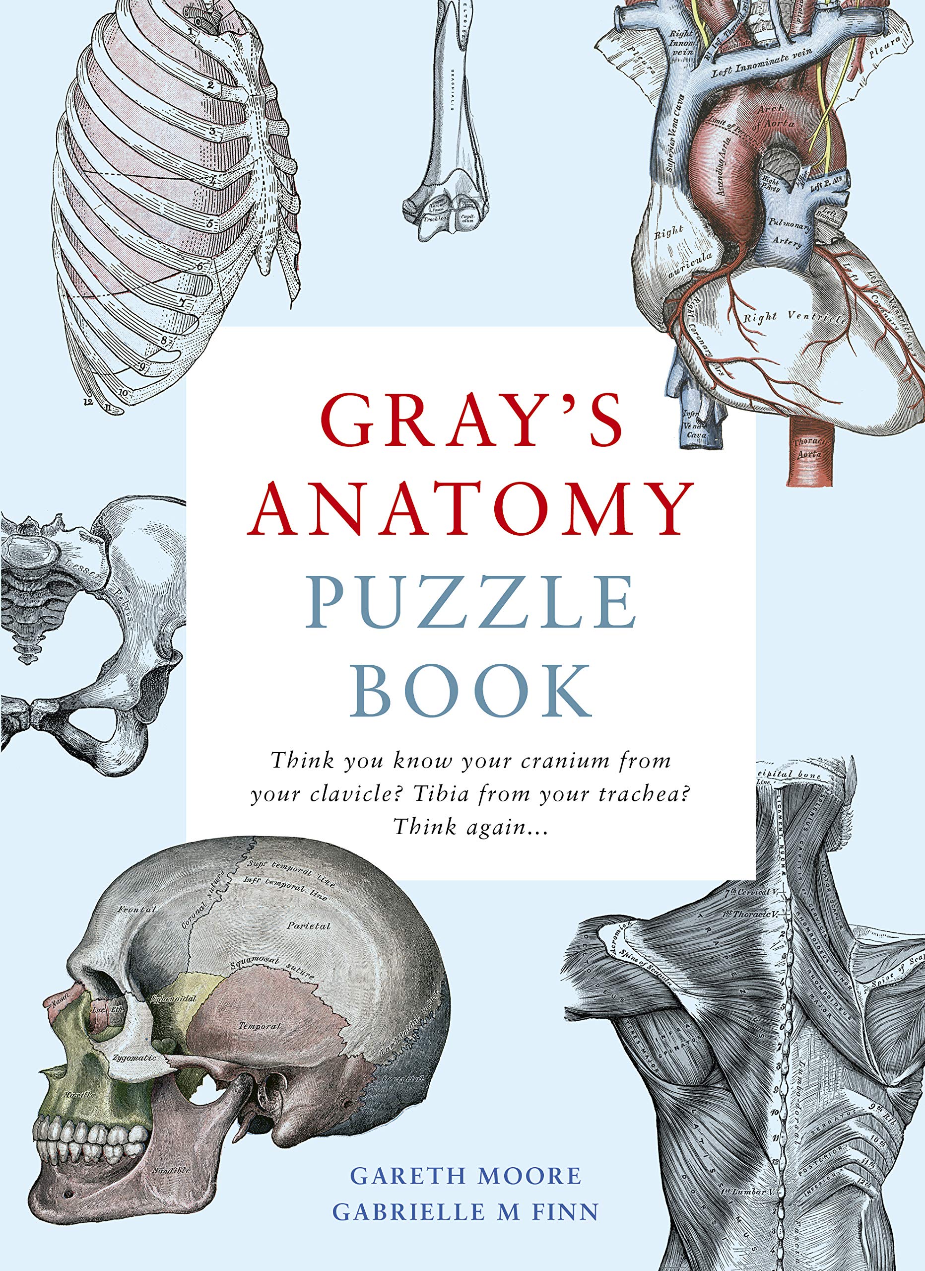 Gray's Anatomy Puzzle Book Hobbies & Crafts