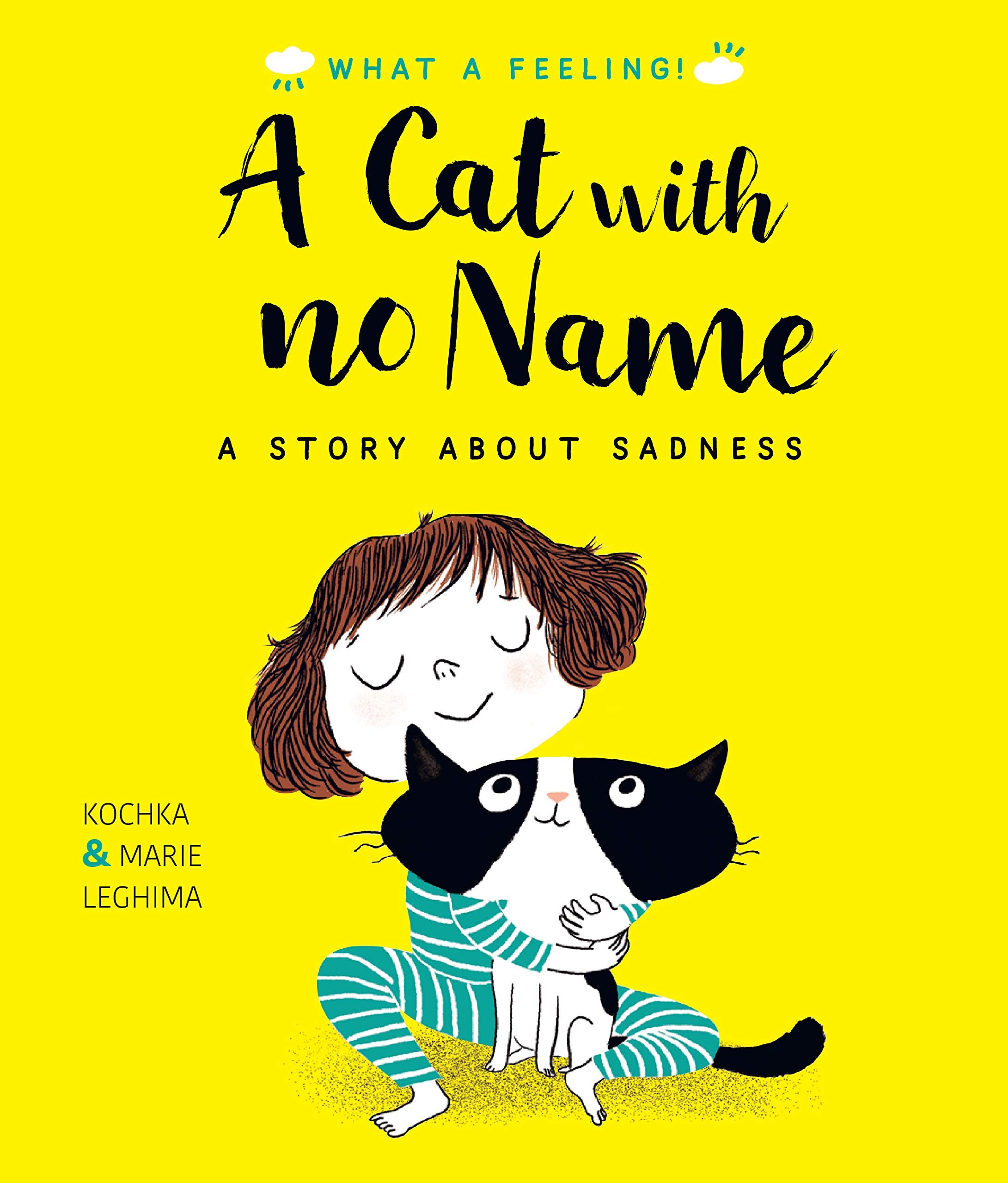A Cat With No Name: A Story About Sadness (What a Feeling) Non-fiction