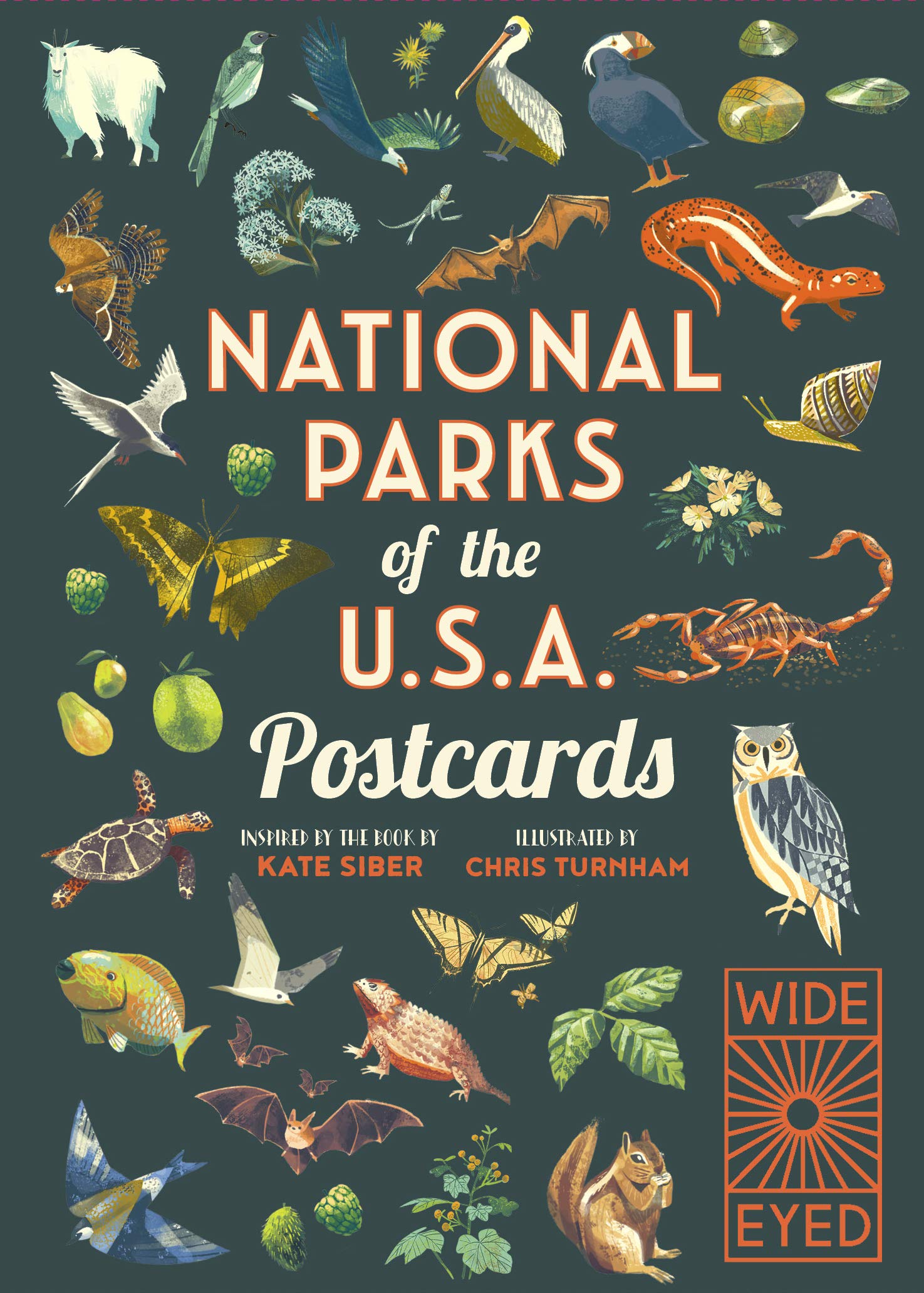 National Parks of the USA Postcards (3) (Americana, Band 3) Mathematics