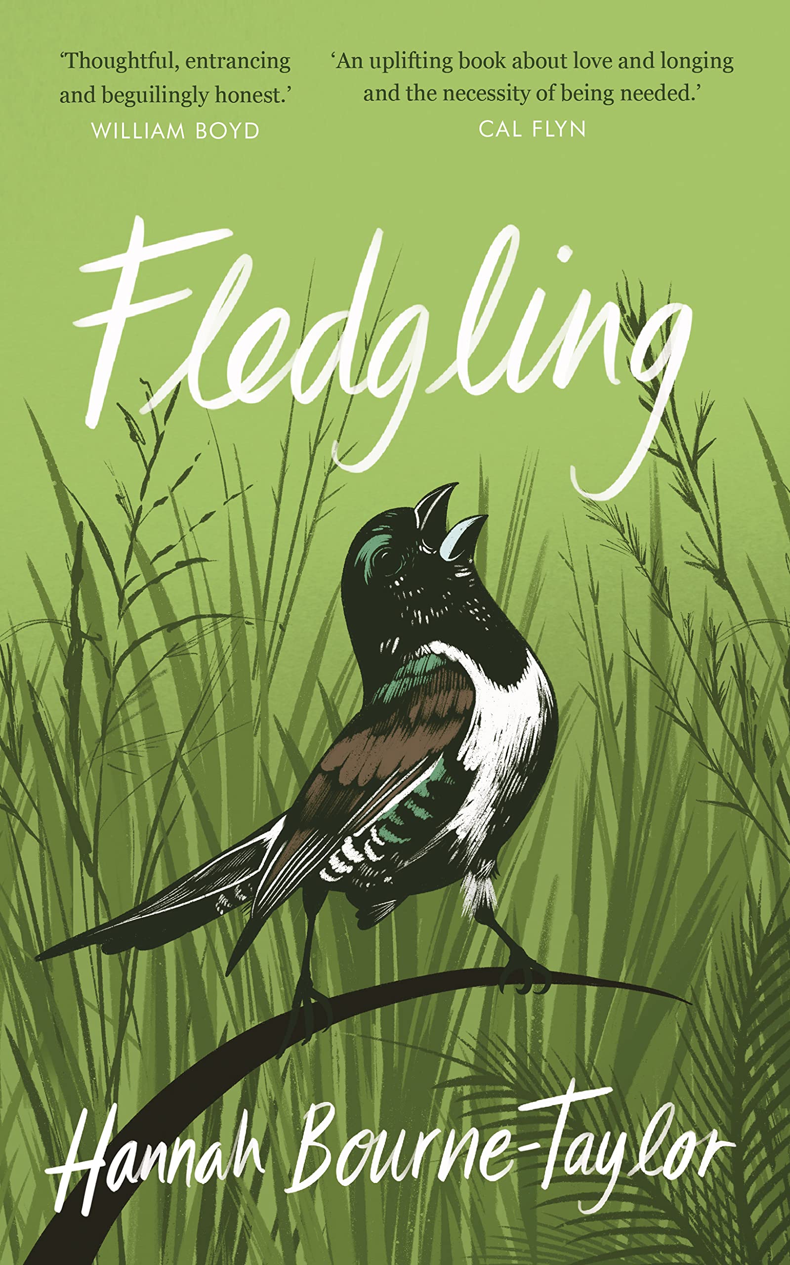 Fledgling Art & Literature Books