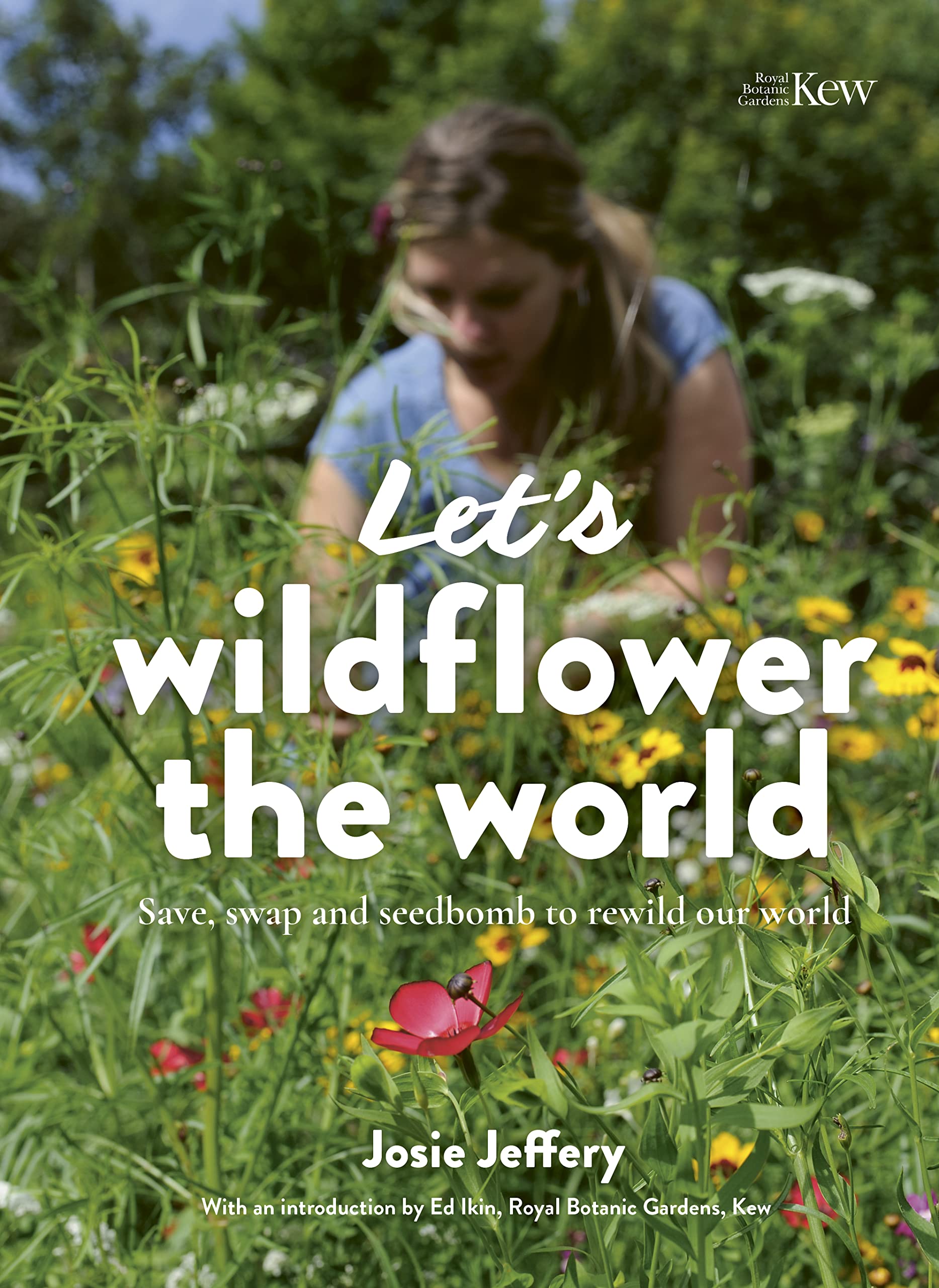 Let's Wildflower the World: Save, swap and seedbomb to rewild our world Mathematics