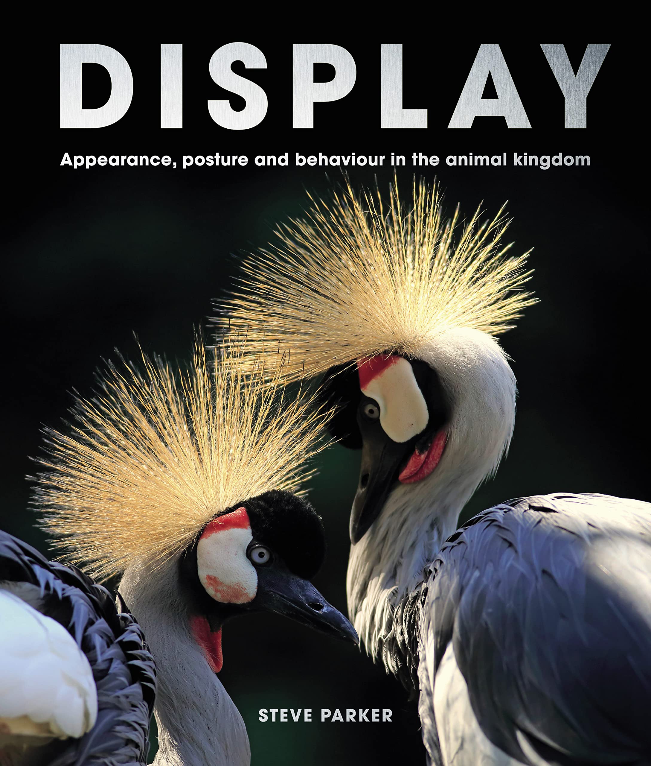 Display: Appearance, posture and behaviour in the animal kingdom Mathematics