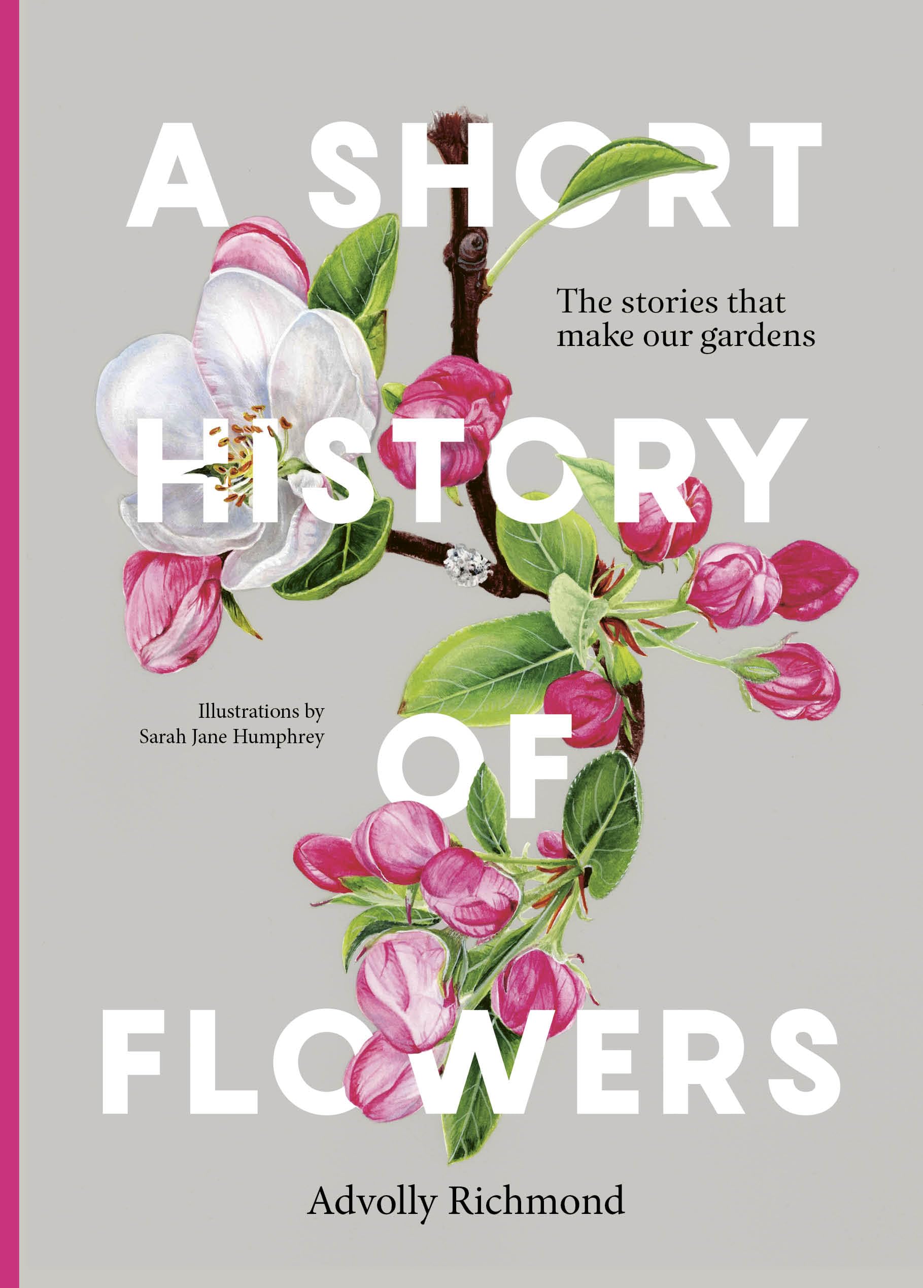 A Short History of Flowers Mathematics