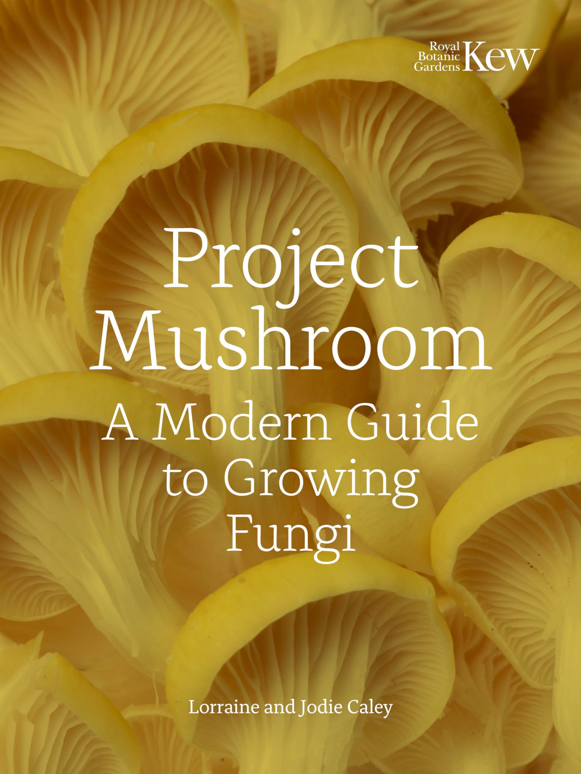 Project Mushroom: A Modern Guide to Growing Fungi Mathematics