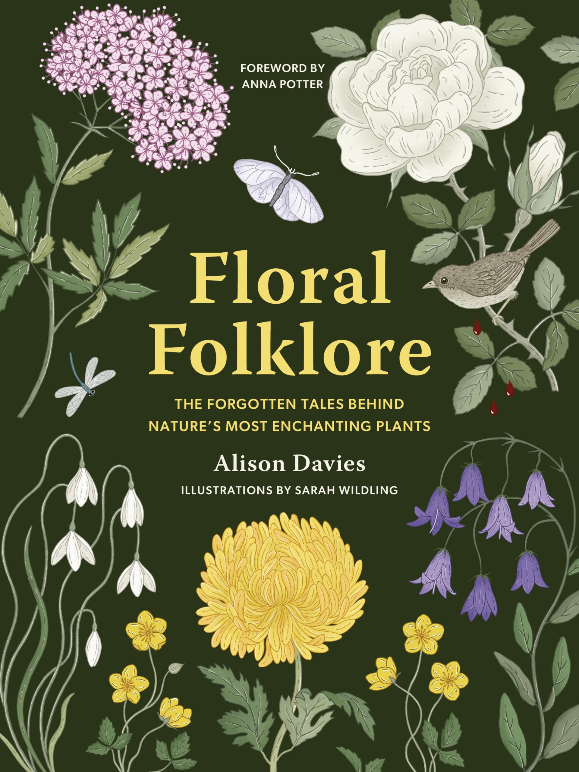 Product Image: Floral Folklore