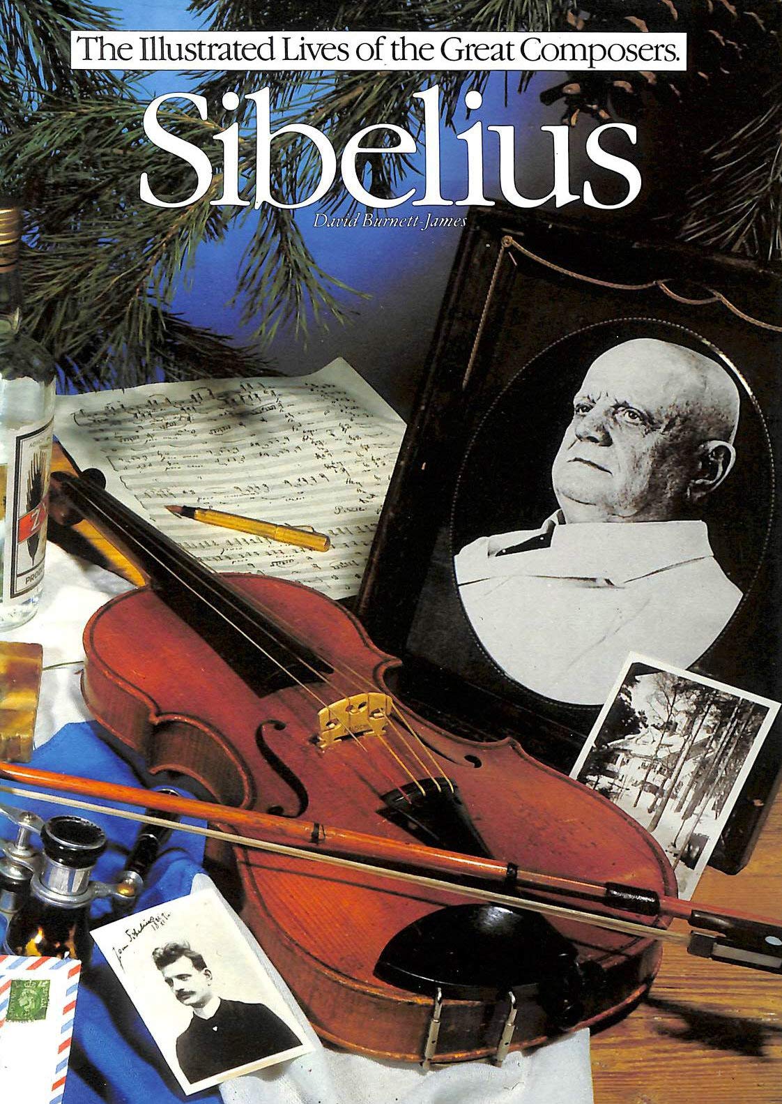 Sibelius (Illustrated Lives of the Great Composers S.) Art & Literature