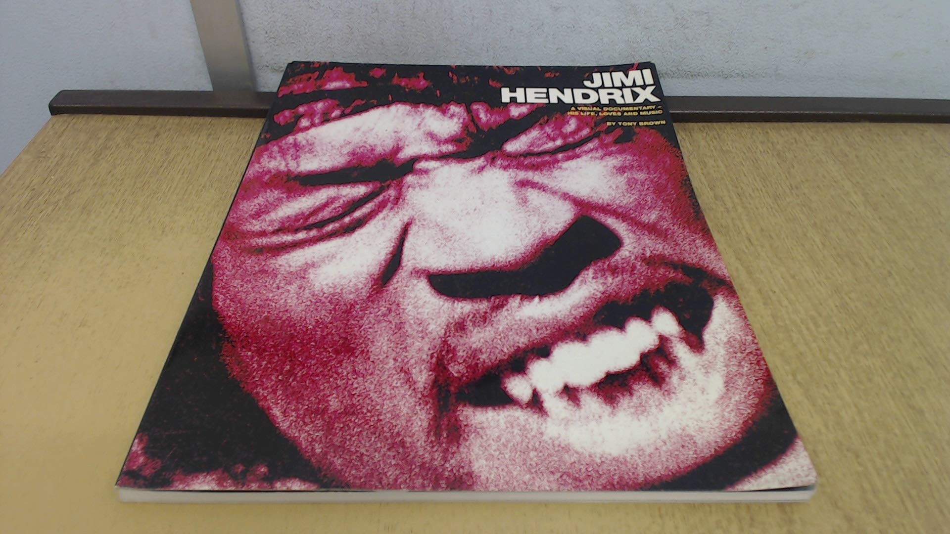 Hendrix: The Visual Documentary by Tony Brown : The Original Edition Jimi Hendrix : The Acclaimed Diary of His Life, Loves and Music Art & Literature