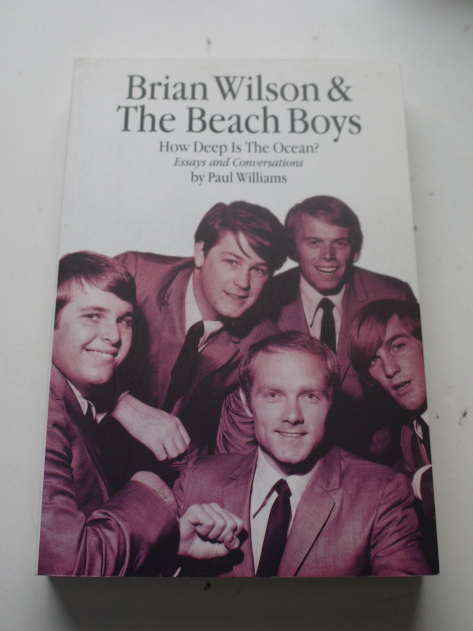 Brian Wilson & the Beach Boys: How Deep Is the Ocean? Pop culture