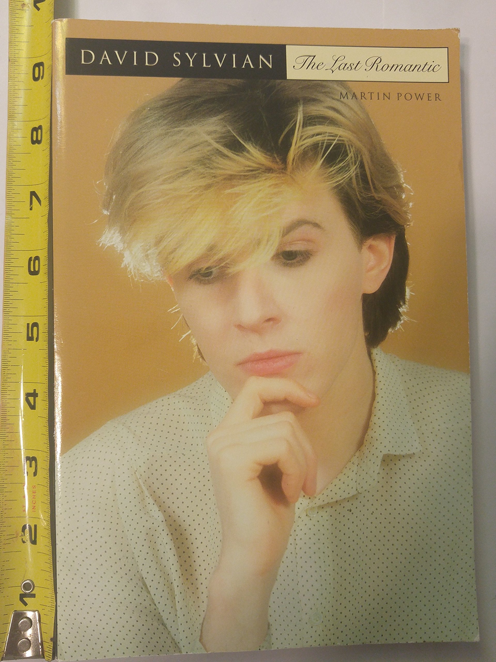 Product Image: David Sylvian: The Last Romantic - a Biography