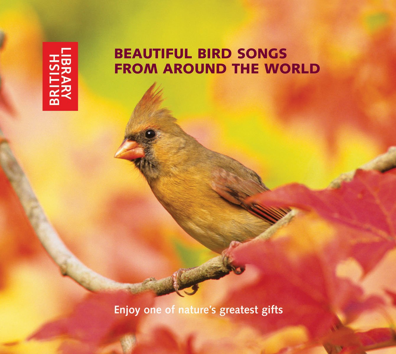 Beautiful Bird Songs from Around the World cd