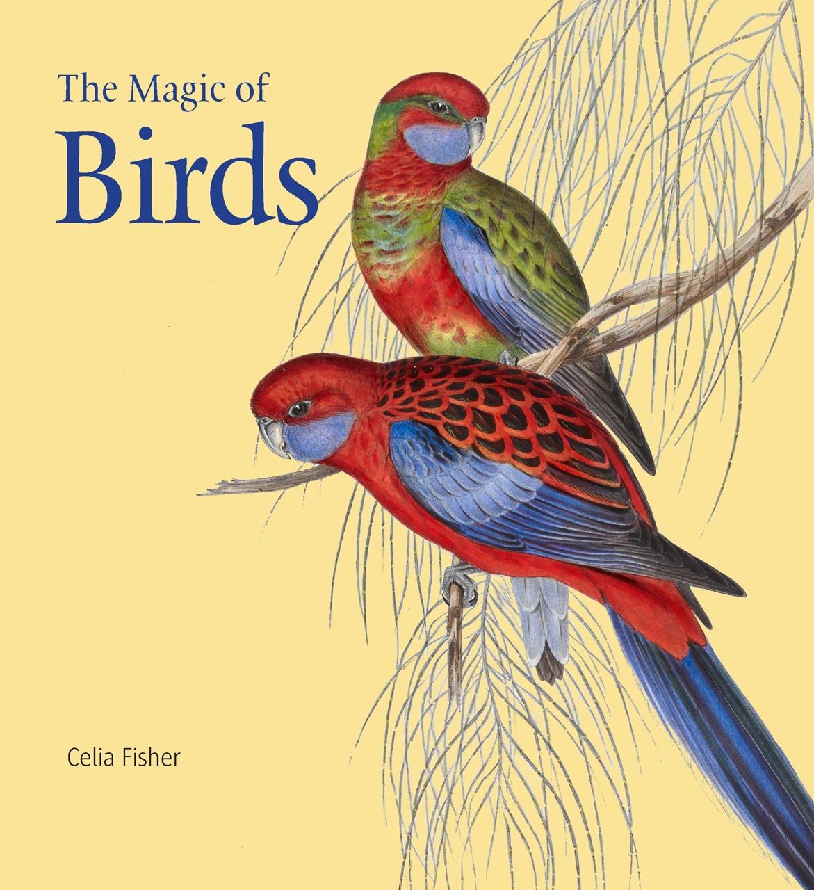 The Magic of Birds Mathematics