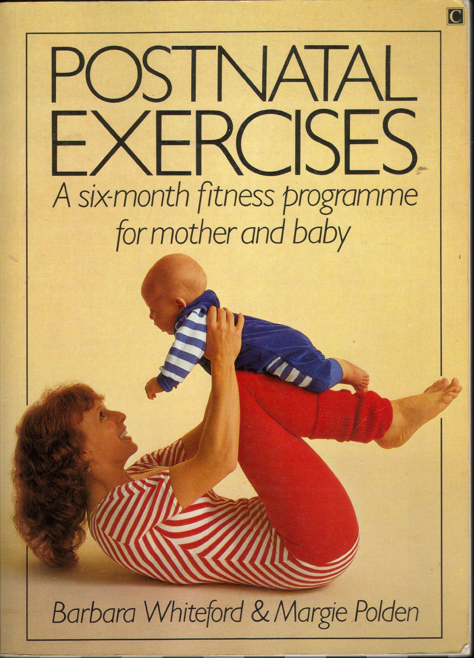 Postnatal Exercises: A 6-month Fitness Programme for Mother and New Baby book