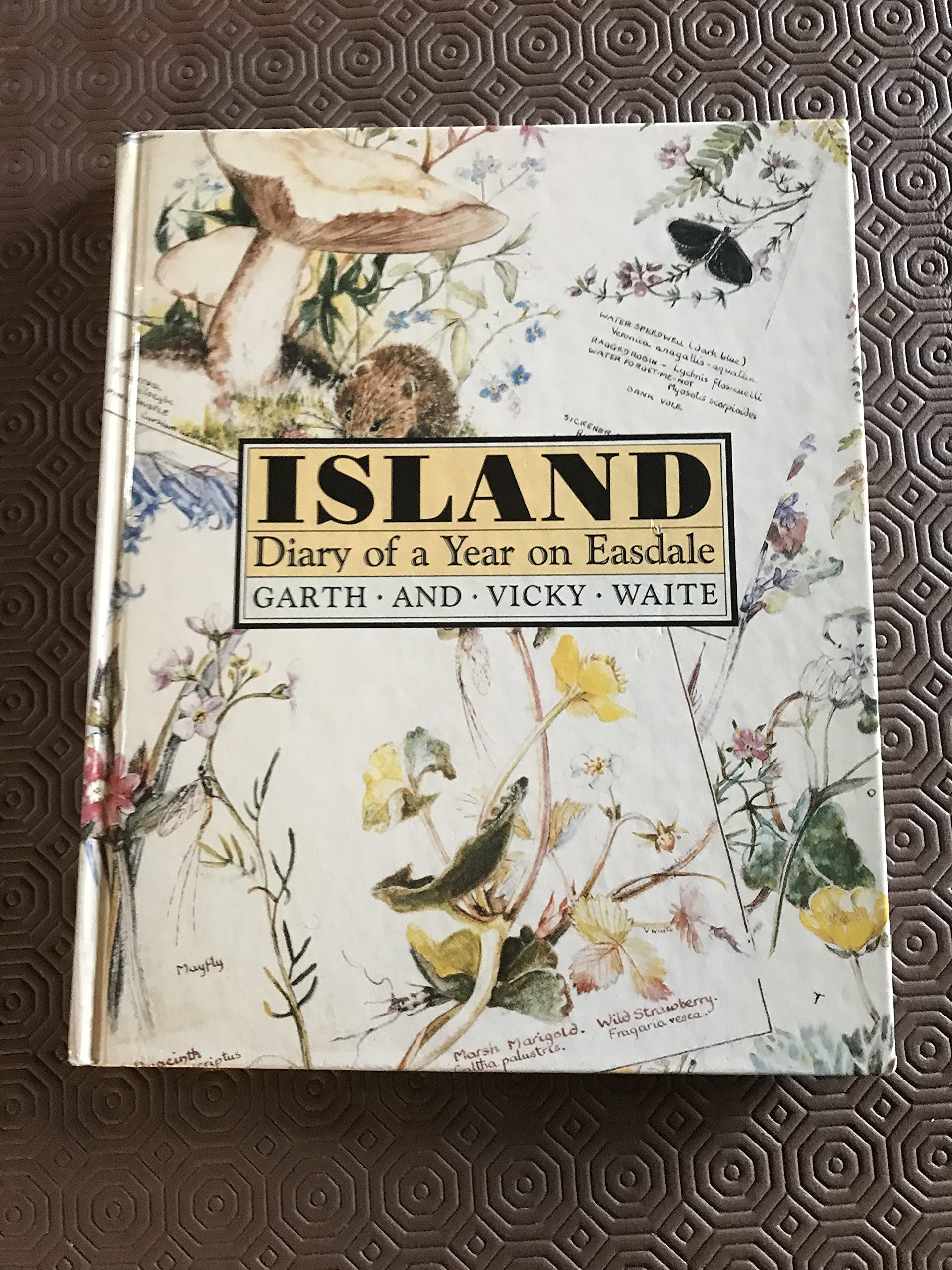 Island: Diary of a Year on Easdale Memories