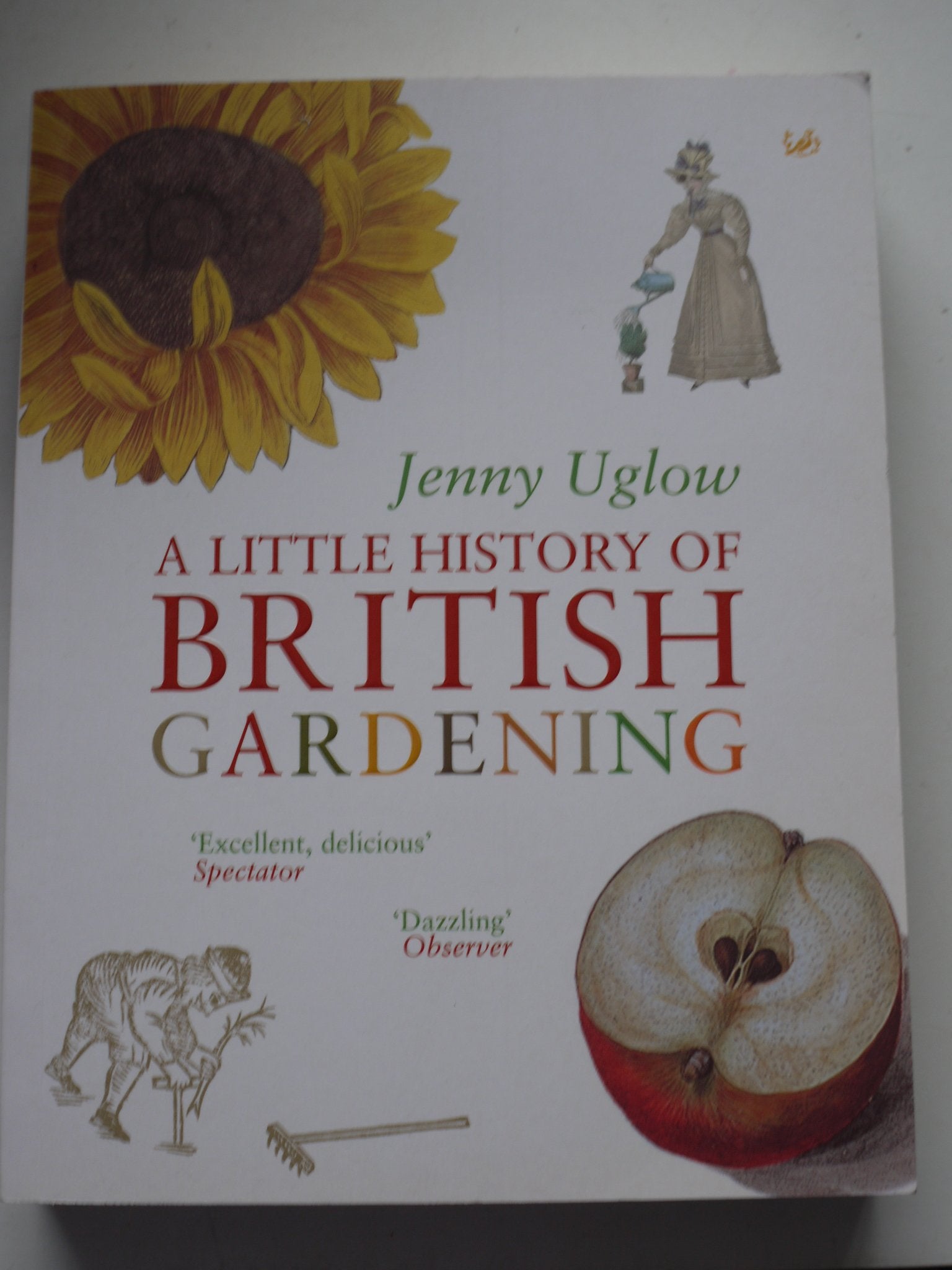 A Little History Of British Gardening book