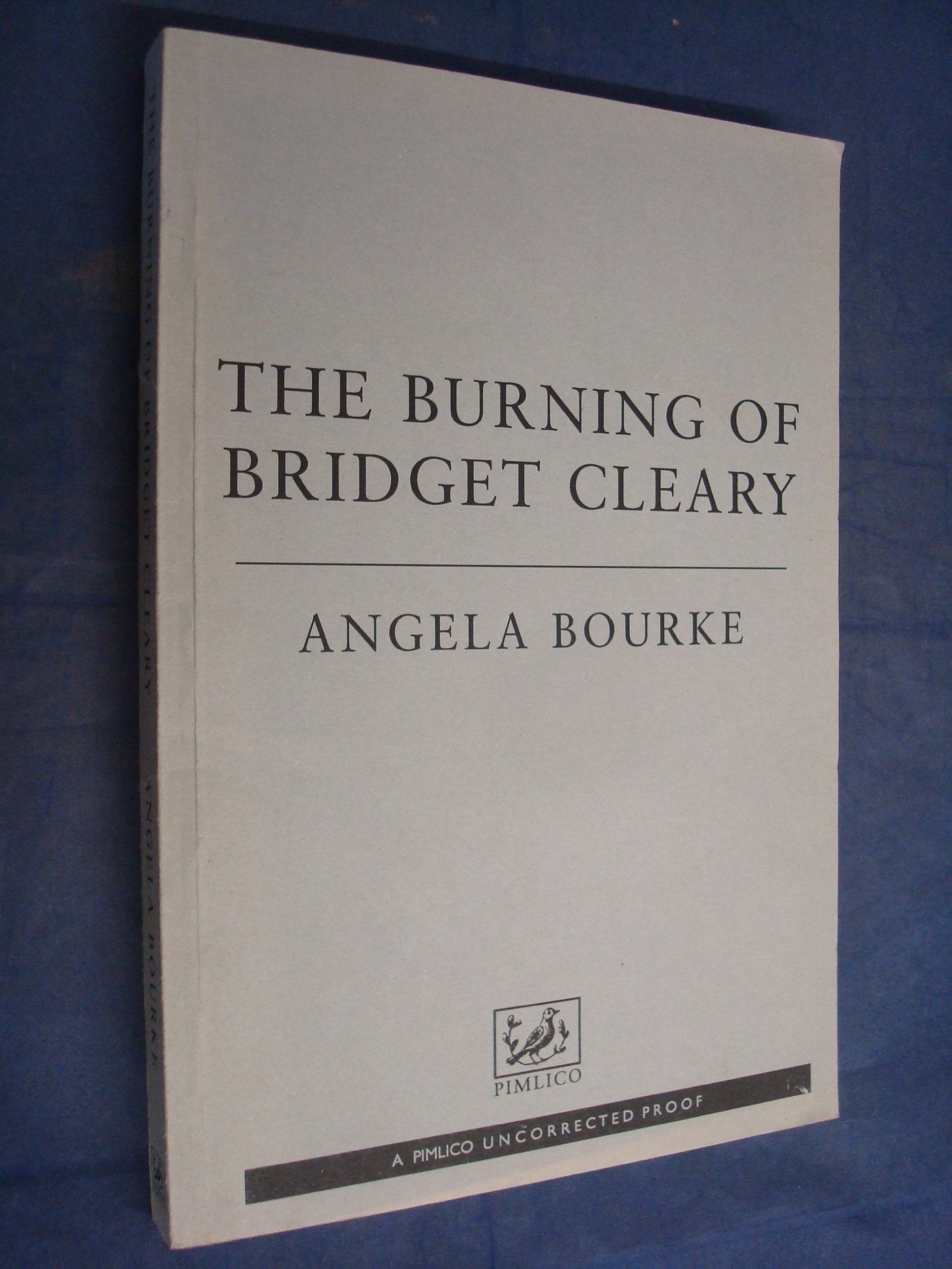 The Burning of Bridget Cleary: A True Story book