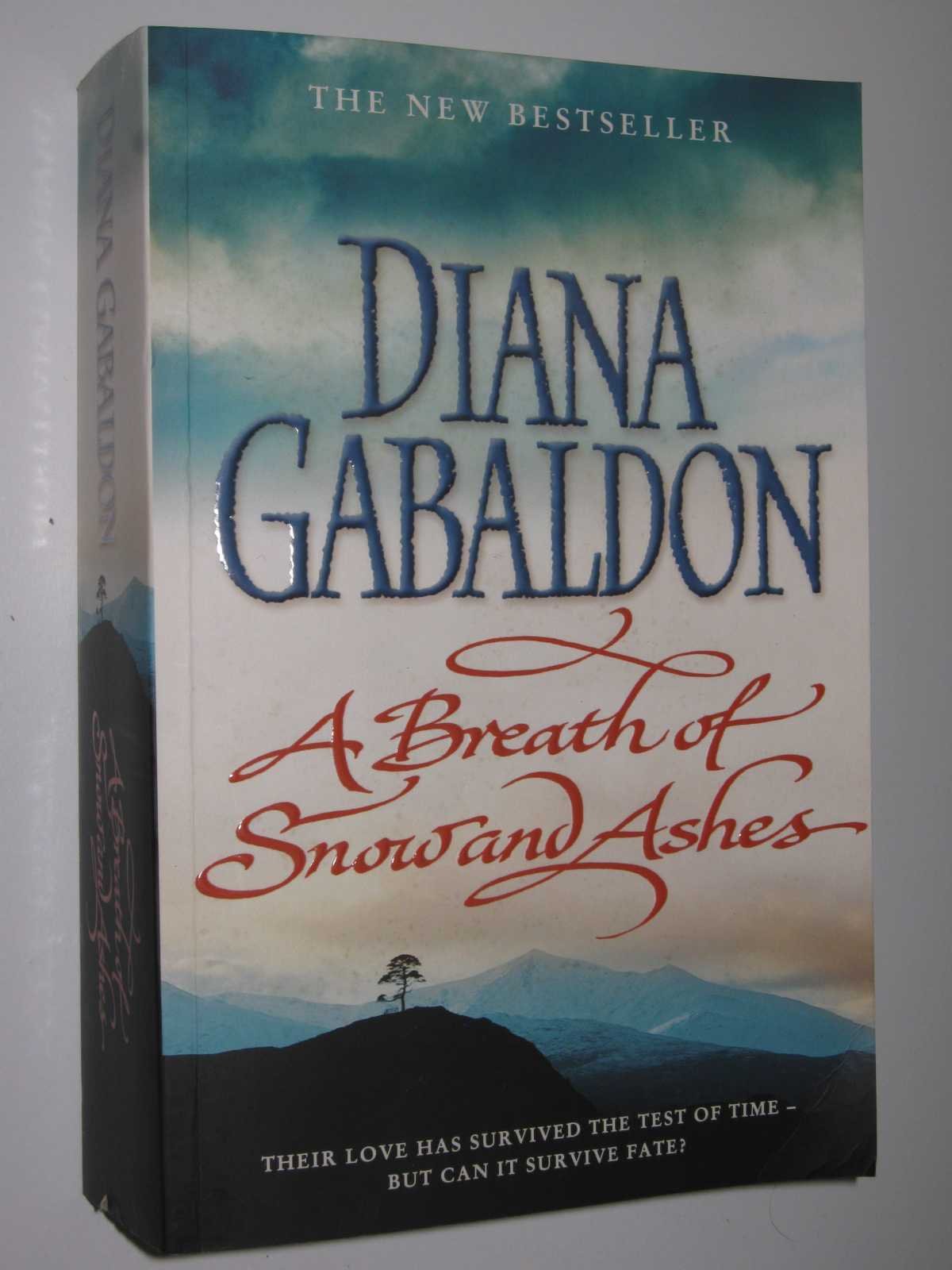 A Breath of Snow and Ashes Contemporary literature