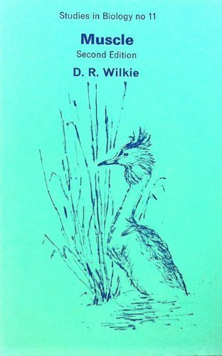 Muscle (Studies in Biology) Books