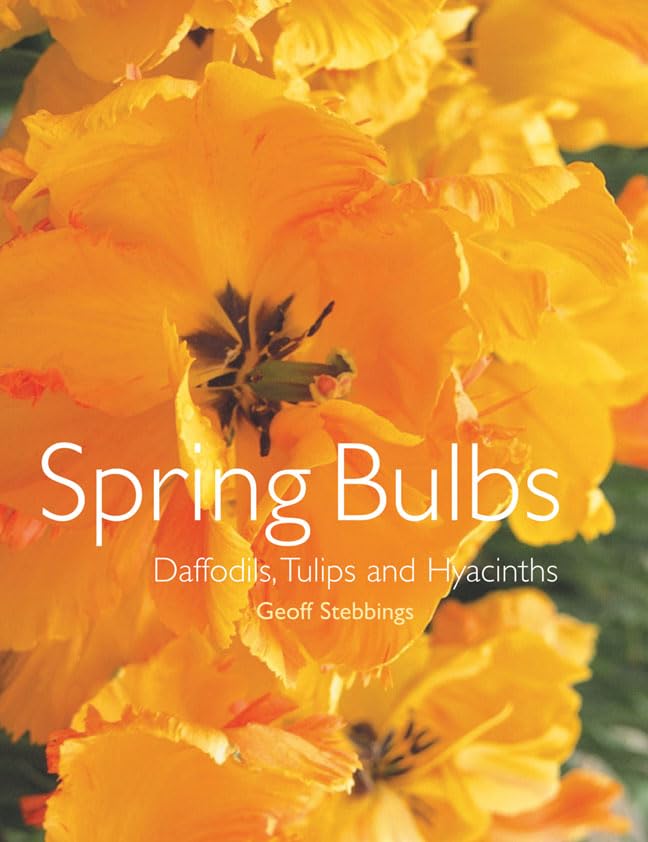 Spring Bulbs: Daffodils, Tulips And Hyacinths Garden & Plants
