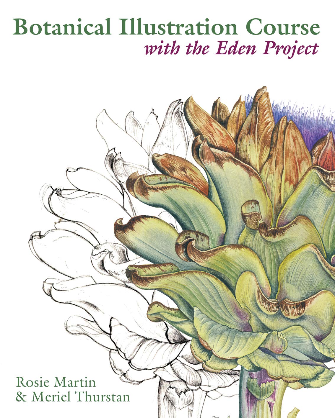 Product Image: Botanical Illustration Course
