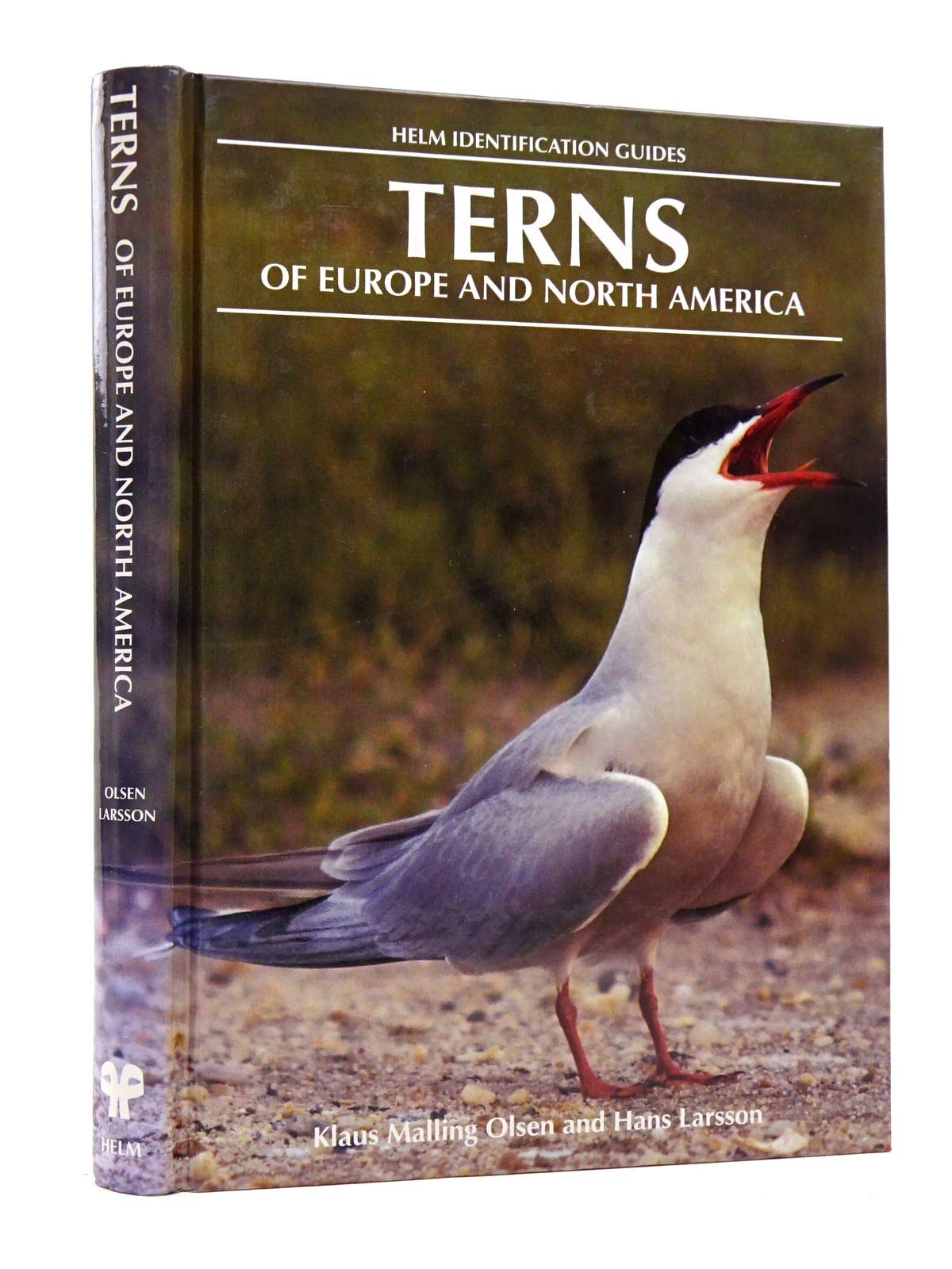 Terns of Europe and North America (Helm Identification Guides) Mathematics