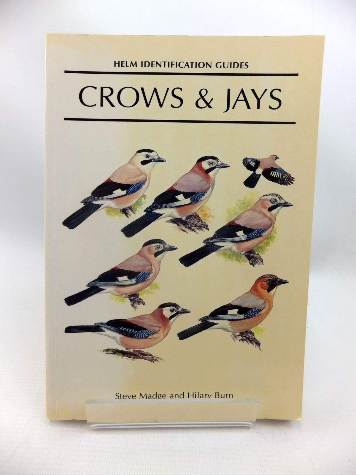 Crows & Jays: A Guide to the Crows, Jays and Magpies of the World (Helm Identification Guides) Mathematics