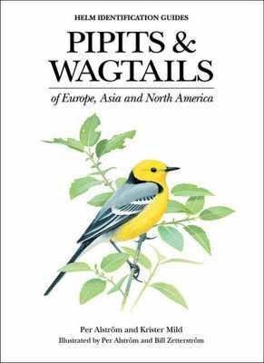 Pipits and Wagtails of Europe, Asia and North America (Helm Identification Guides) Mathematics