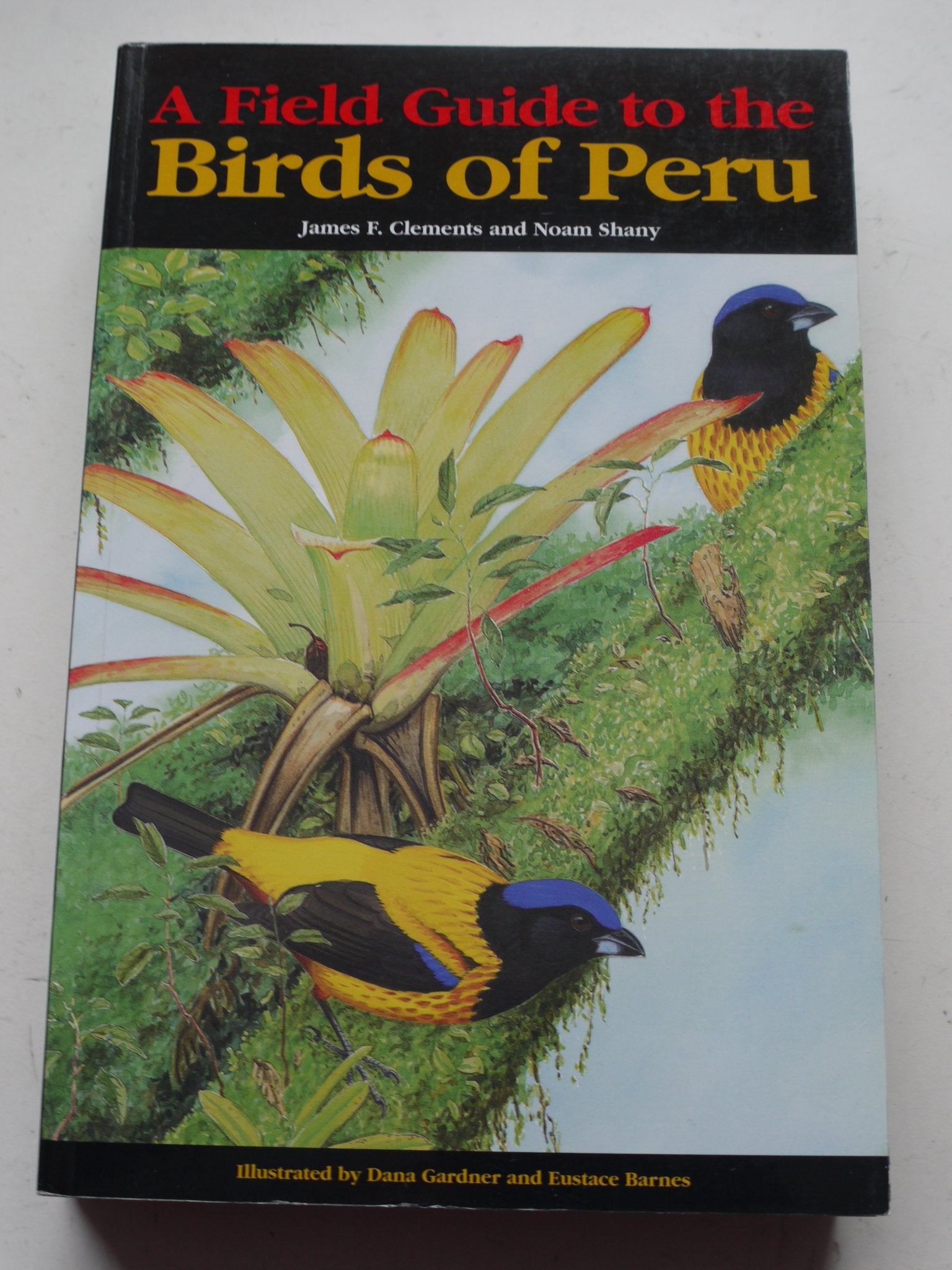 Field Guide to the Birds of Peru (Field Guide to the Birds of S.) Mathematics