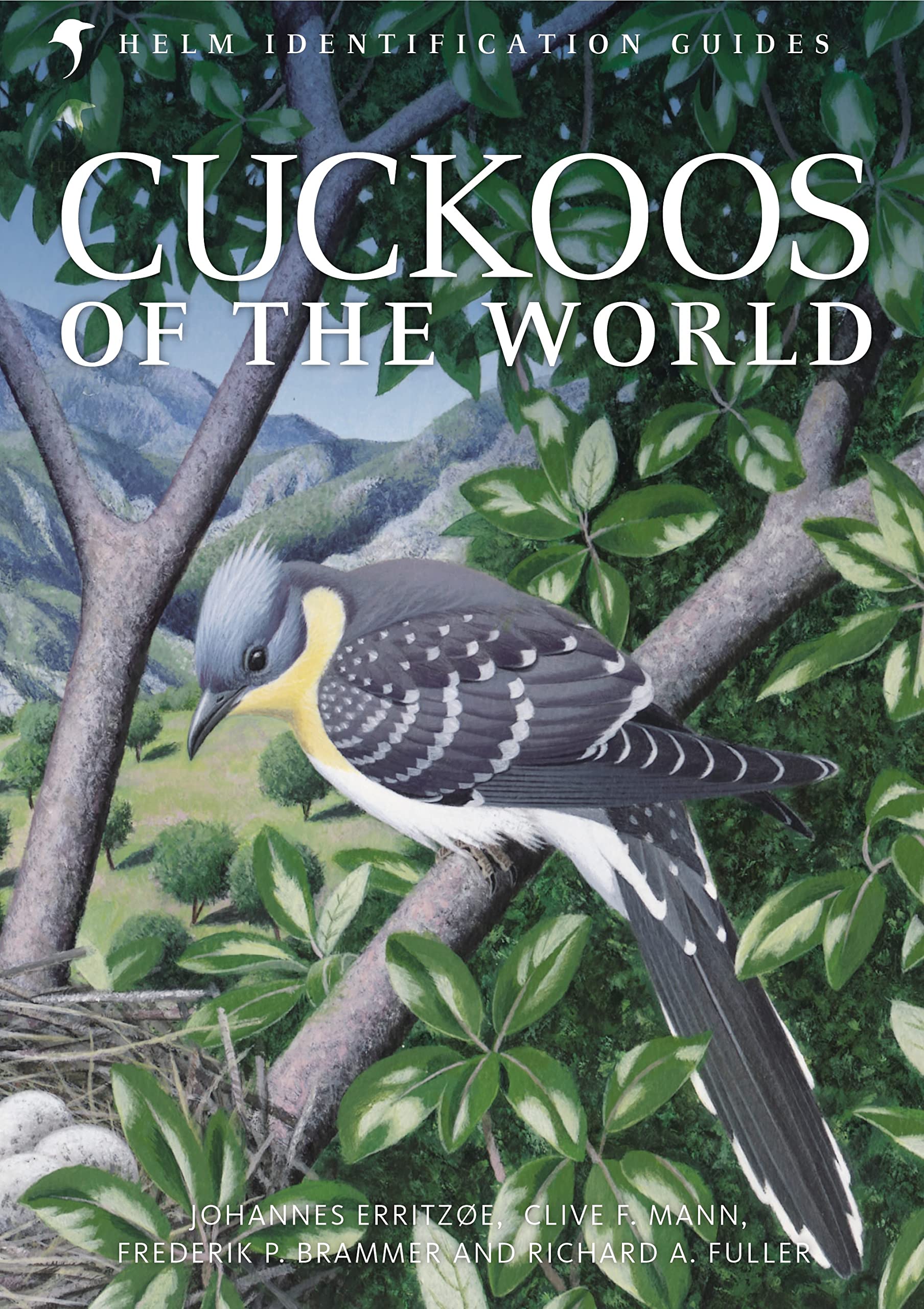 Cuckoos of the World (Helm Identification Guides) Leisure, Home & Garden