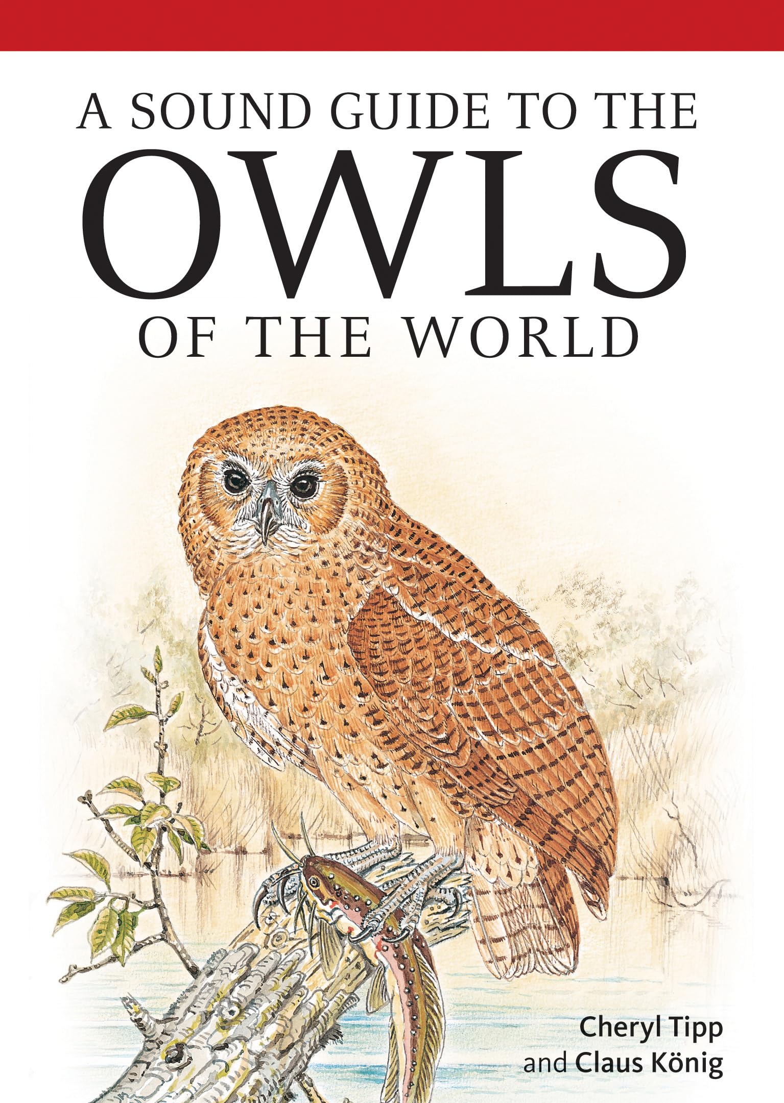 A Sound Guide to the Owls of the World (Ornithology) Leisure, Home & Garden