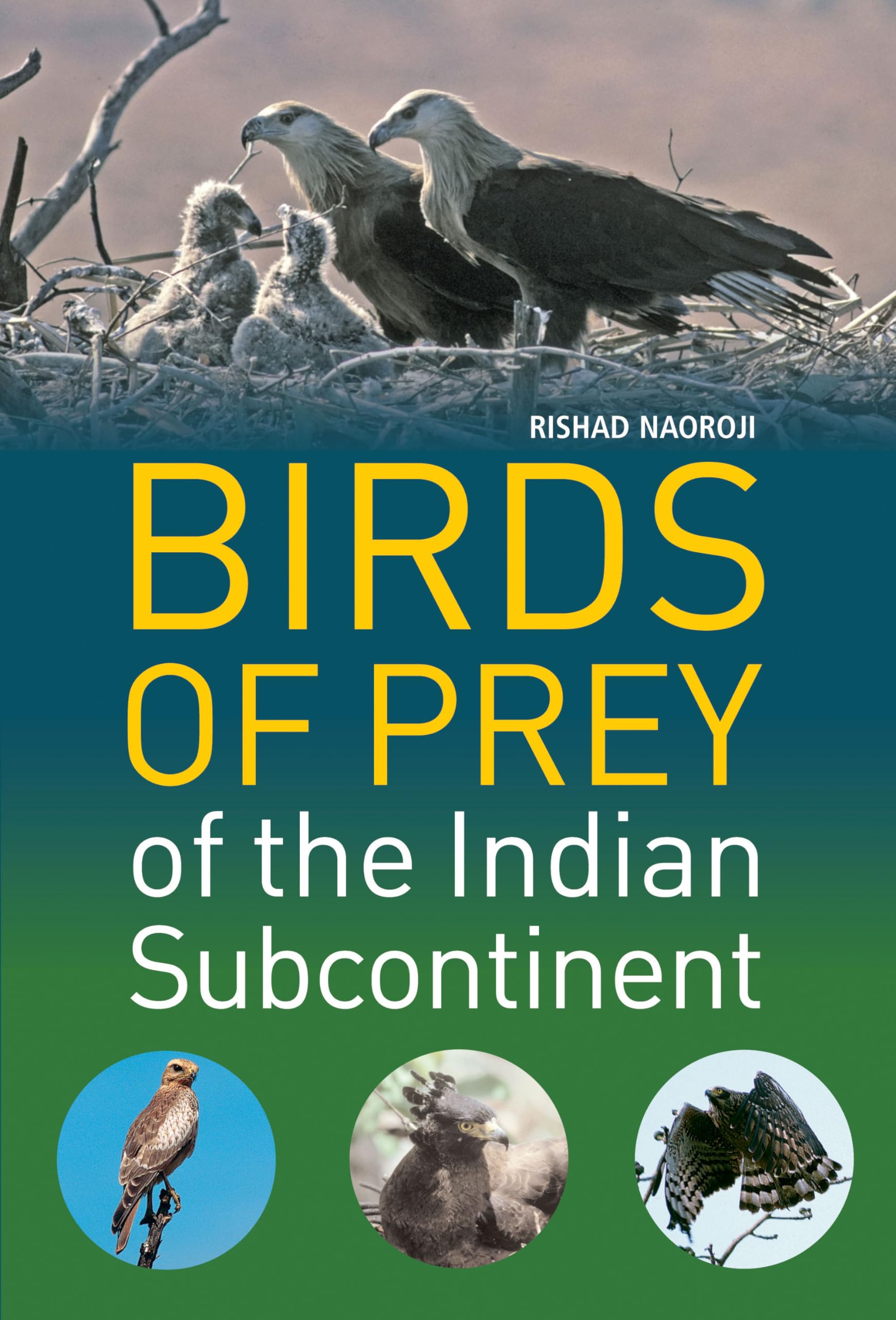 Birds of Prey of the Indian Subcontinent (ID Guide) Mathematics